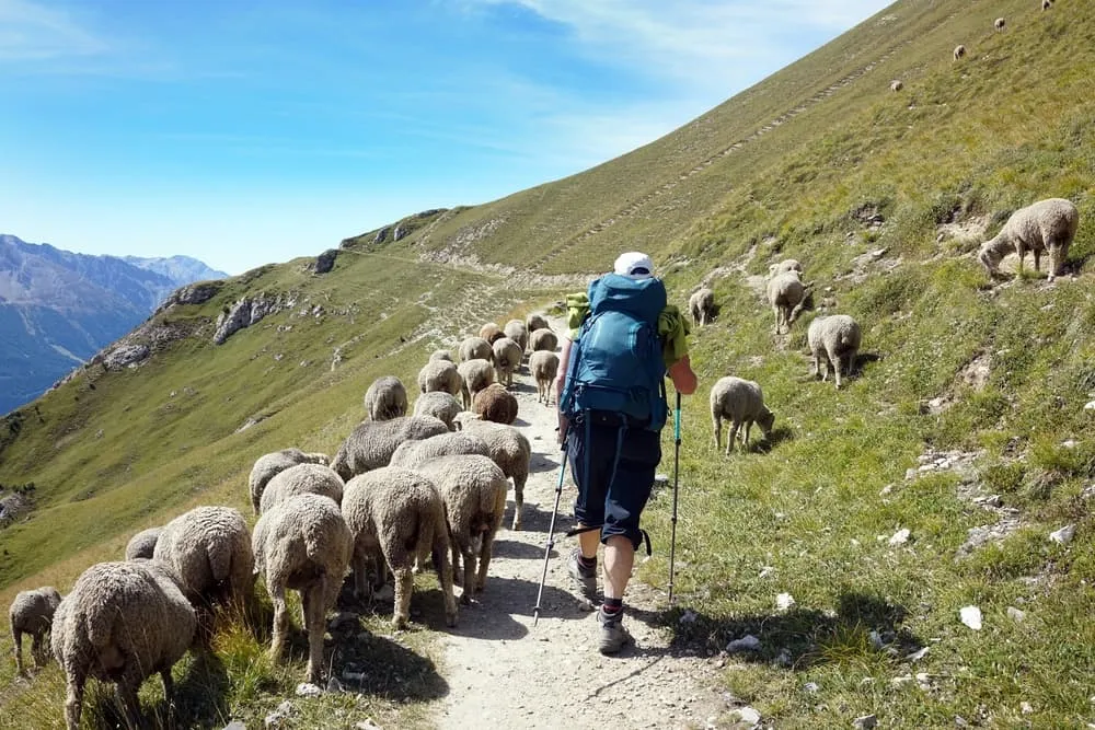 Začiatočnícky Tour de Vallaisonnay 3
