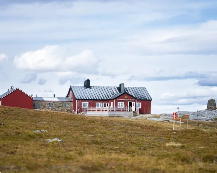 Blåhammaren