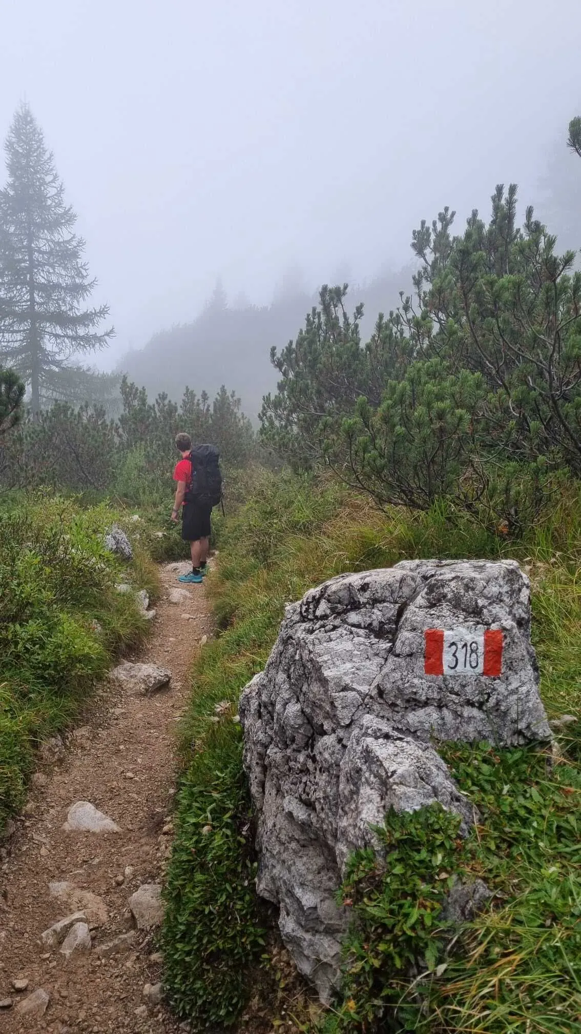 Randonnée Avancée de la Brenta Piccola 12