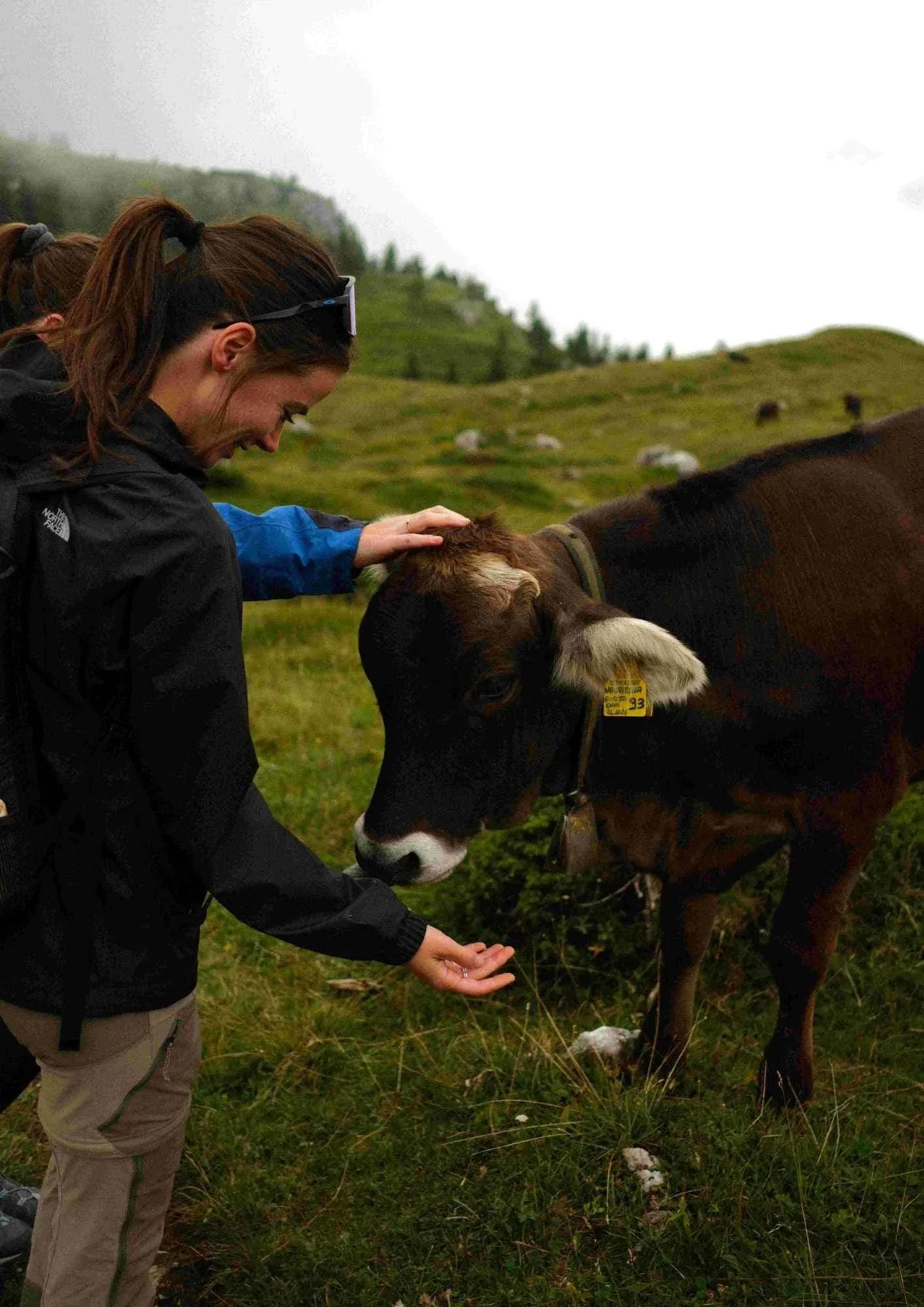 Dolomiti di Brenta Trek - Hébergement Avant & Après Inclus 11