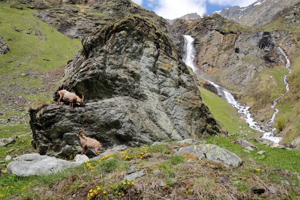 Tour de Vallaisonnay pre rodiny 6
