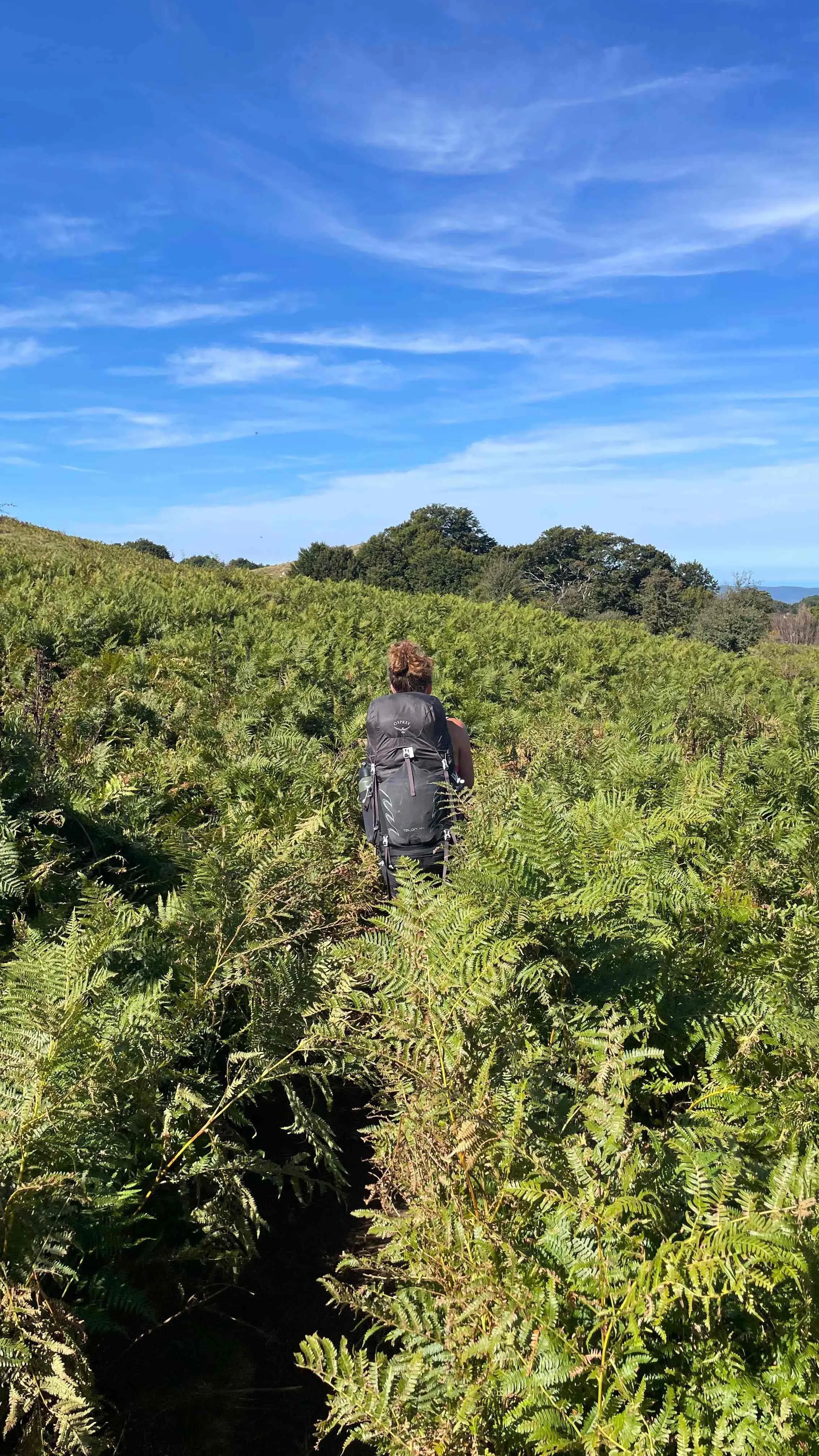 GR20 Fullversjon (fra nord til sør) 5