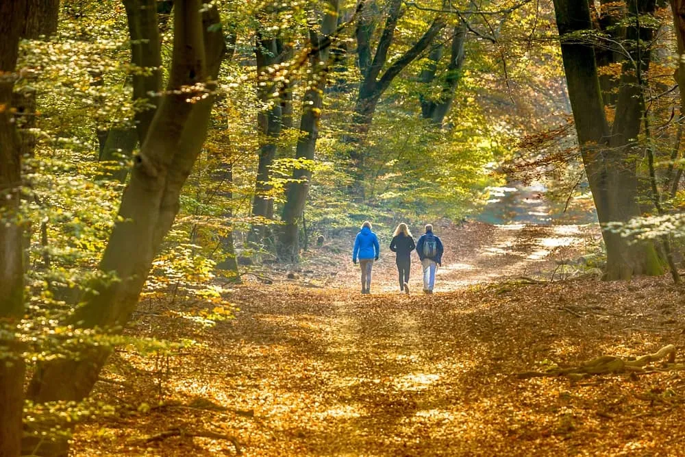 Expert Hoge Veluwe Expresse Tour 6