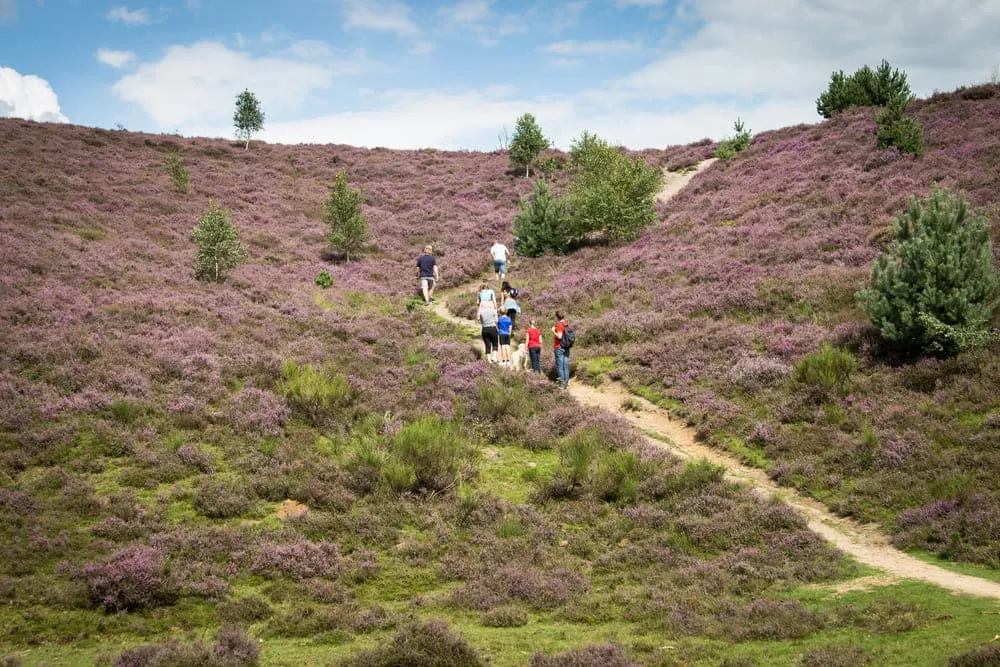 Expert Hoge Veluwe Expresse Tour