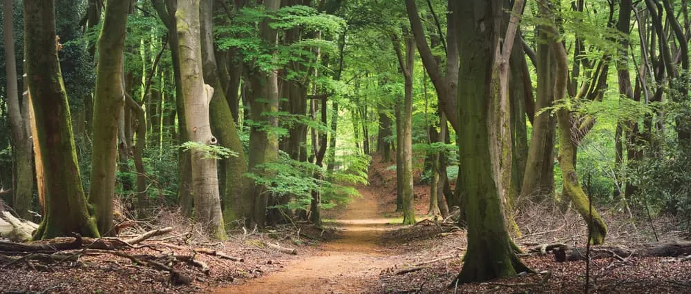 Expert Hoge Veluwe Expresse Tour 4