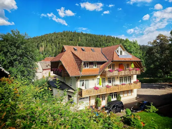 Hotel dasZimmermann ( Todtmoos)
