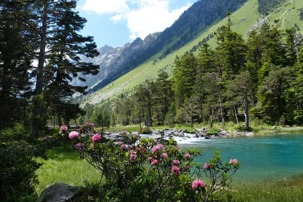 Tour des Lacs de Cauterets 3