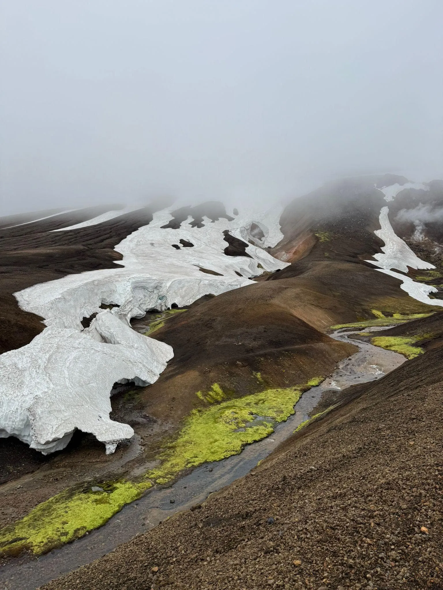Laugavegur Trail - Mit Übernachtung vor und nach der Wanderung 13