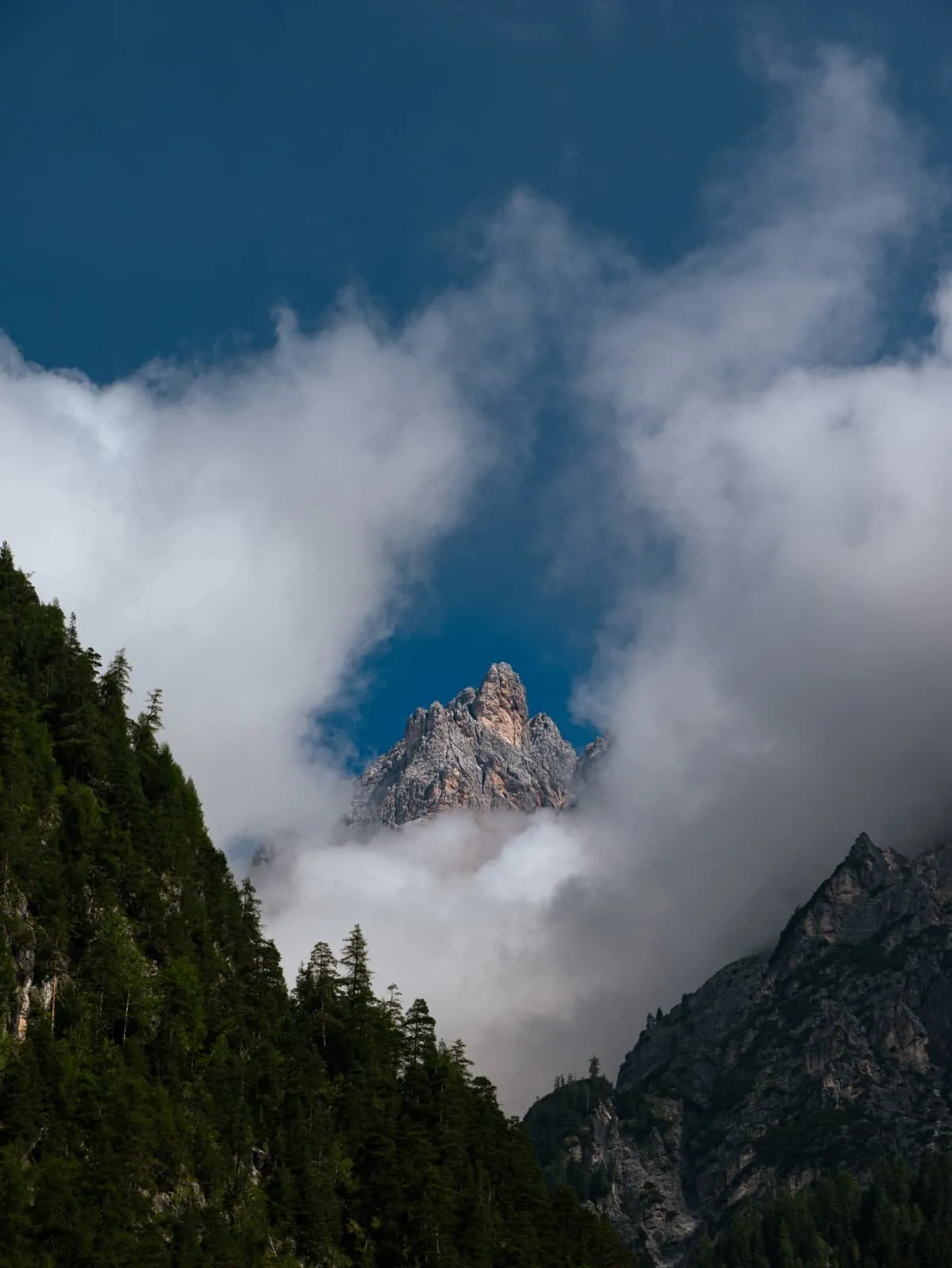 Intermedia Alta Via della Marmotta 13