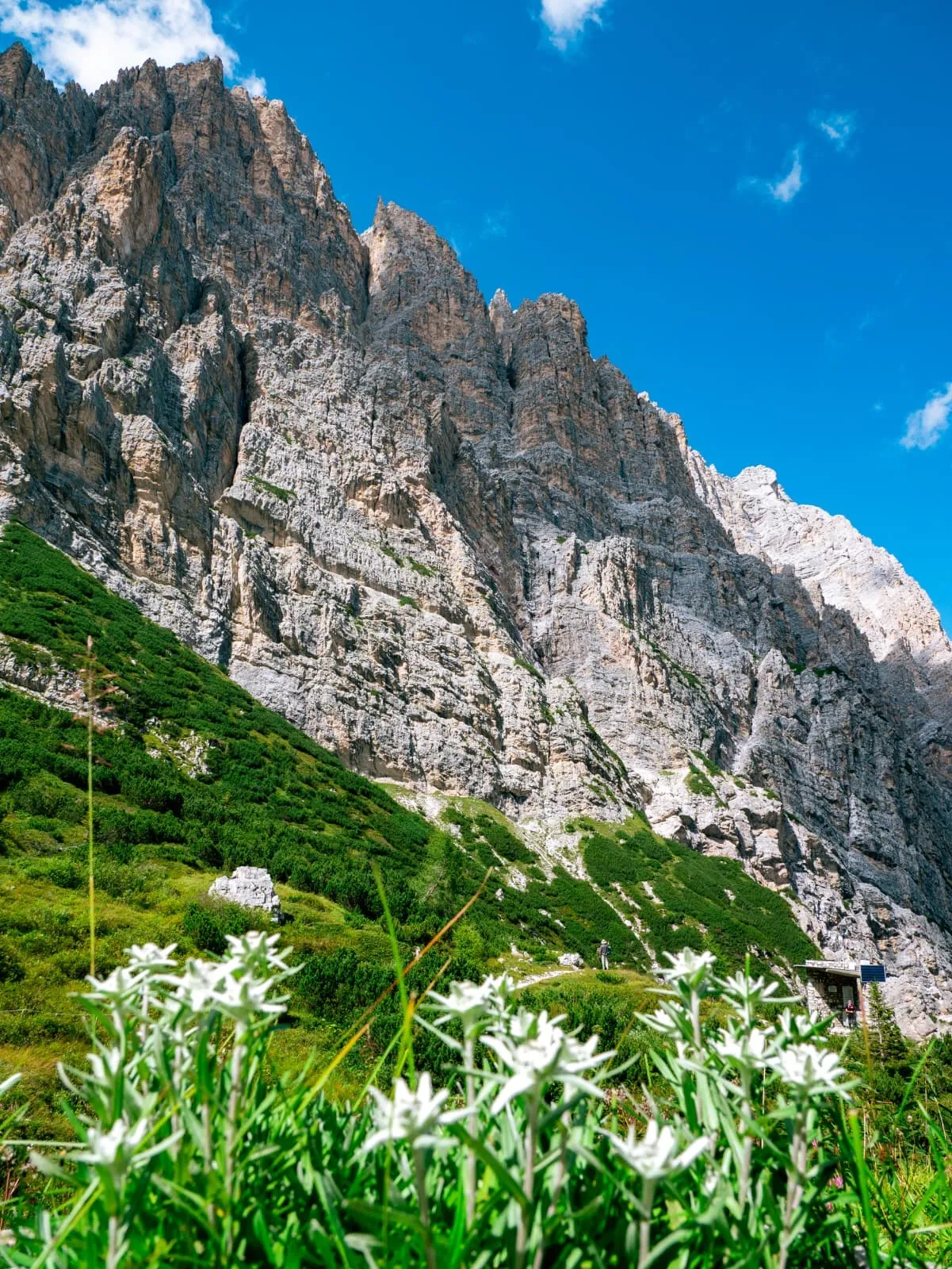 Ultimaatti Alta Via della Marmotta 3