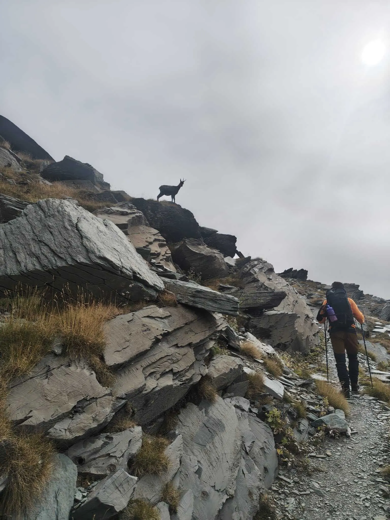 Mercantour - De Refugio en Refugio 6