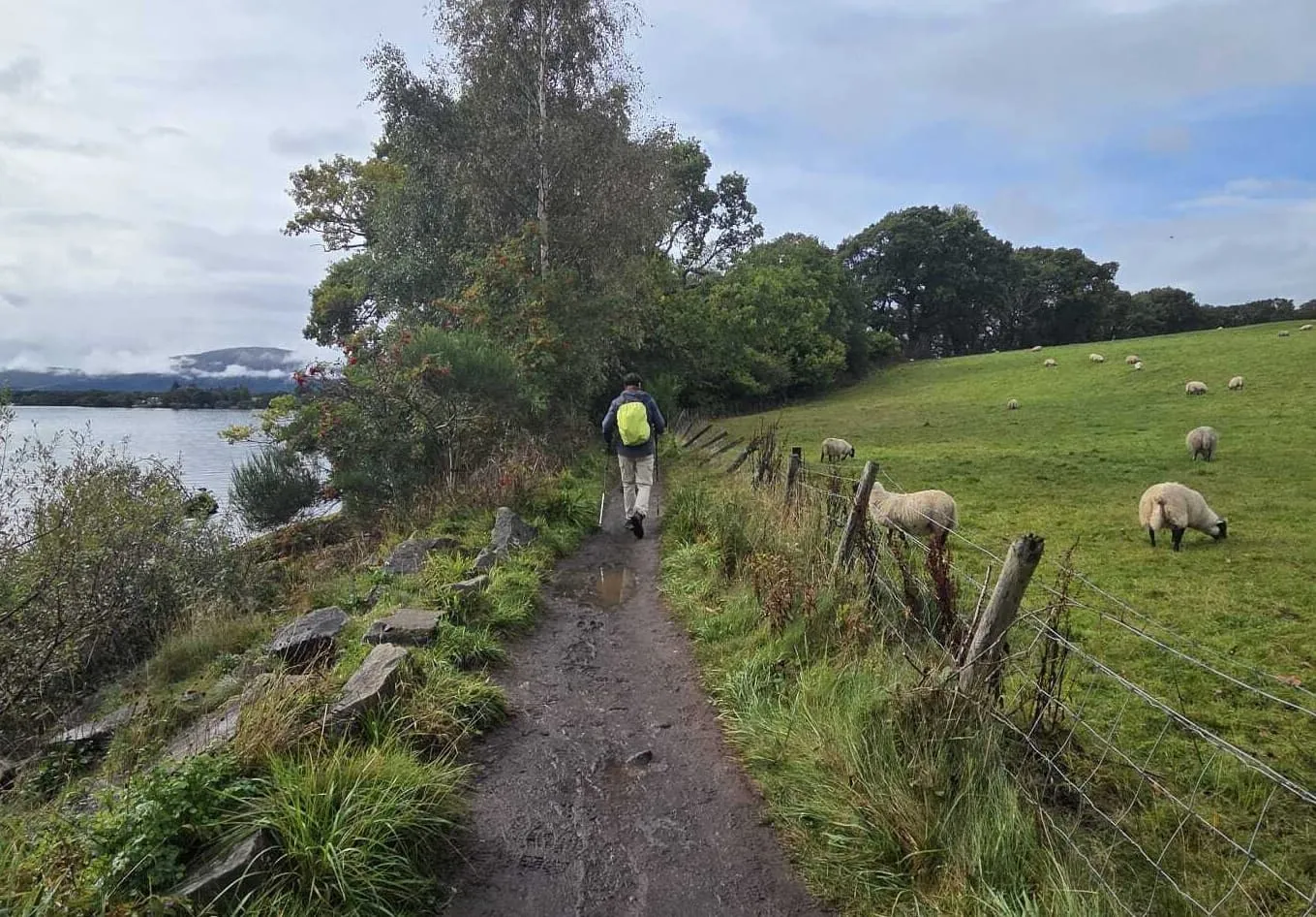 Základní West Highland Way - Severní polovina