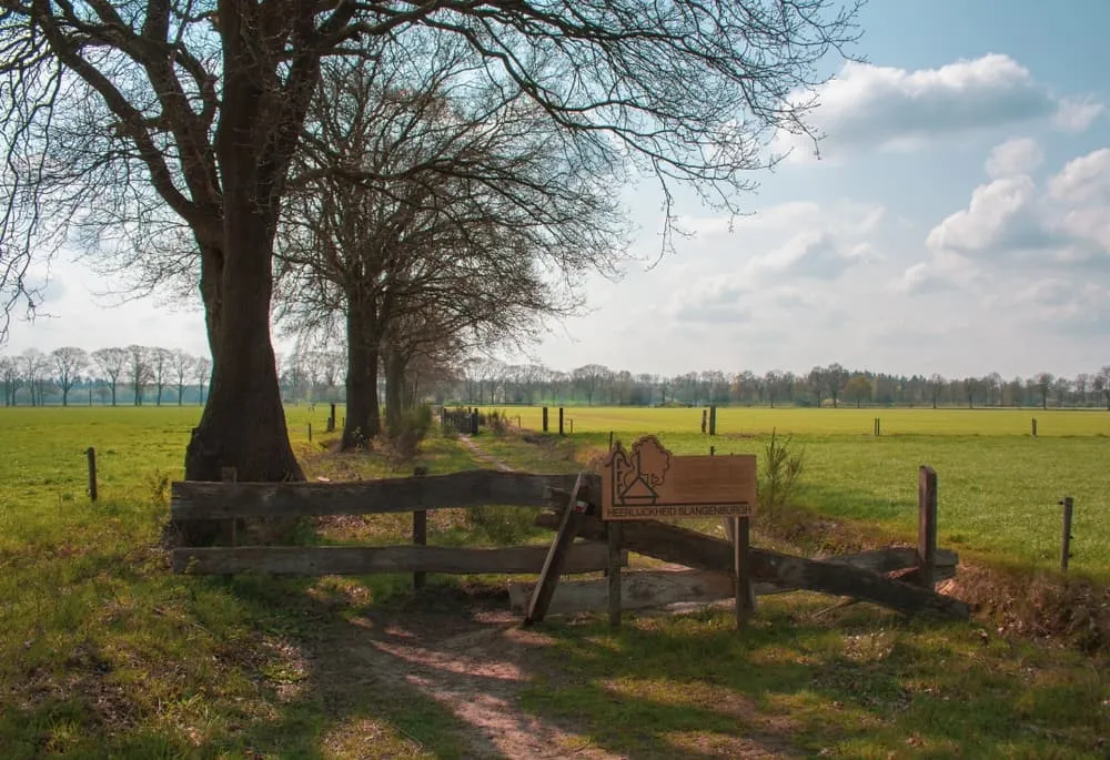 Lo mejor del Pieterpad Medio: Vorden - Millingen aan de Rijn 3