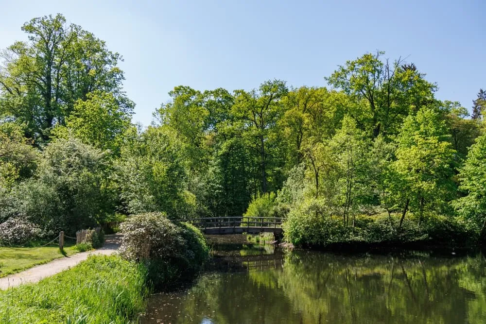 Lo mejor del Pieterpad Medio: Vorden - Millingen aan de Rijn 7
