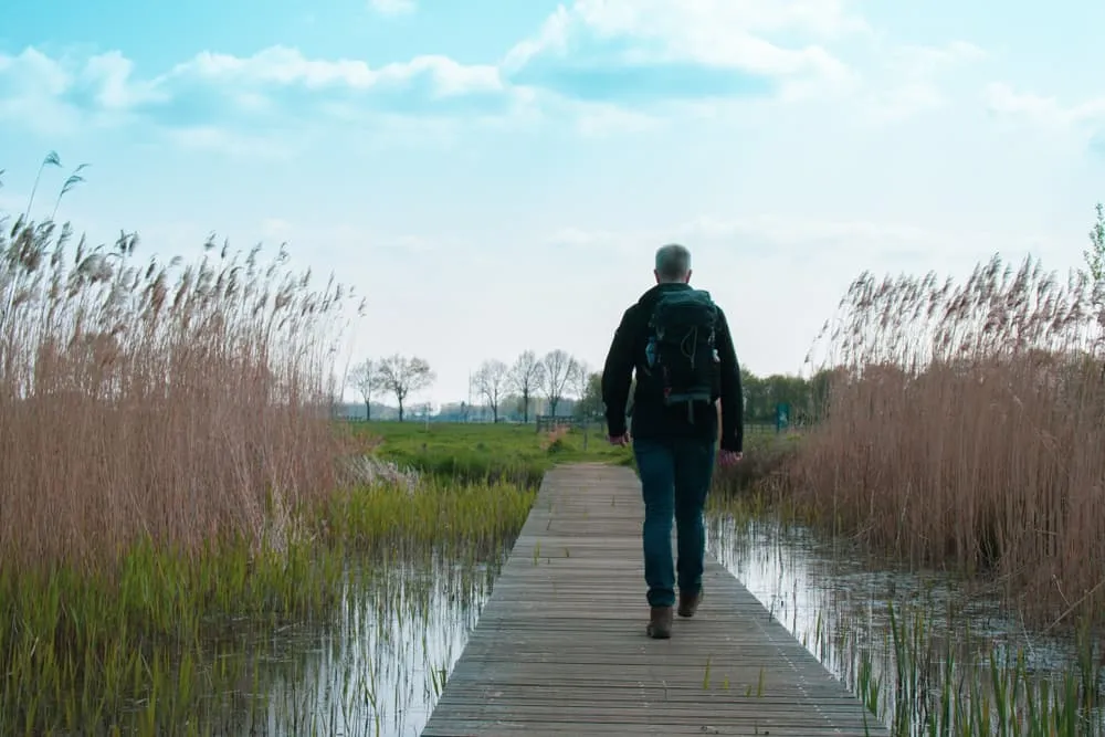 Lo mejor del Pieterpad Medio: Vorden - Millingen aan de Rijn 2