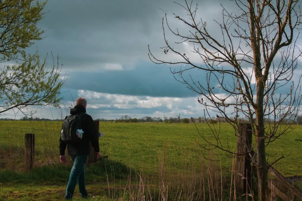 Najlepsze z Pieterpad Północ: Pieterburen - Zuidlaren 3