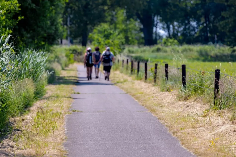 Lo mejor del Pieterpad Medio: Vorden - Millingen aan de Rijn 4