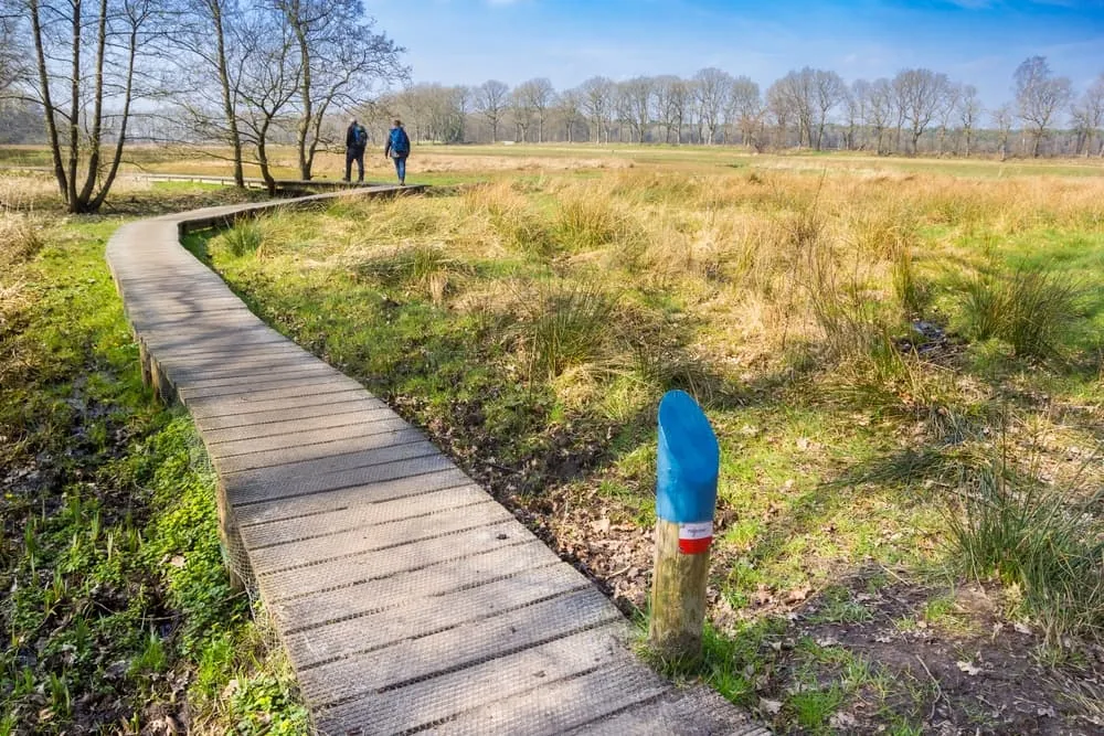 Najlepsze z Pieterpad Północ: Pieterburen - Zuidlaren 6