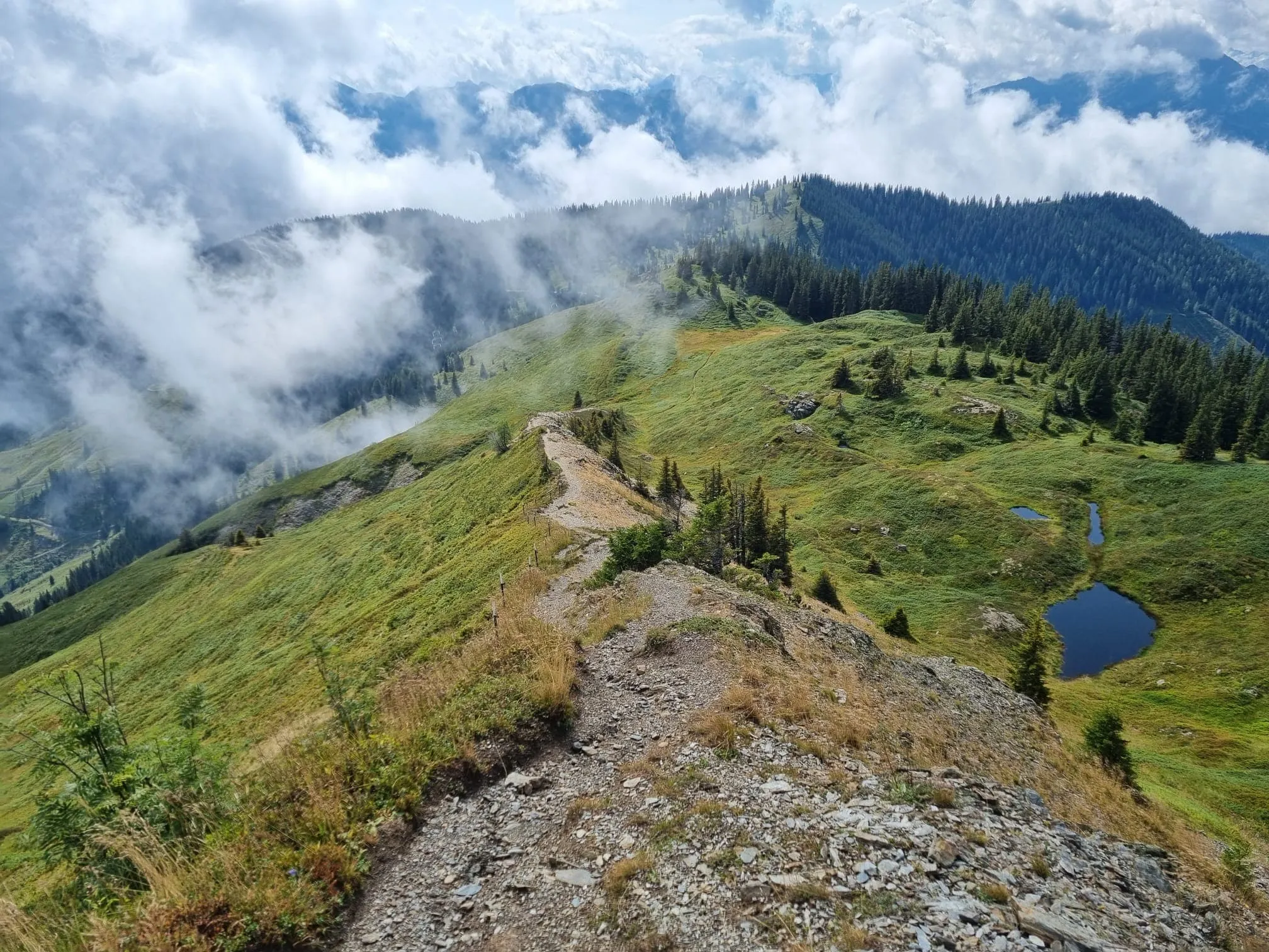Salzburger Almenweg am Hochkönig - Inklusive Unterkunft vorher und nachher 9