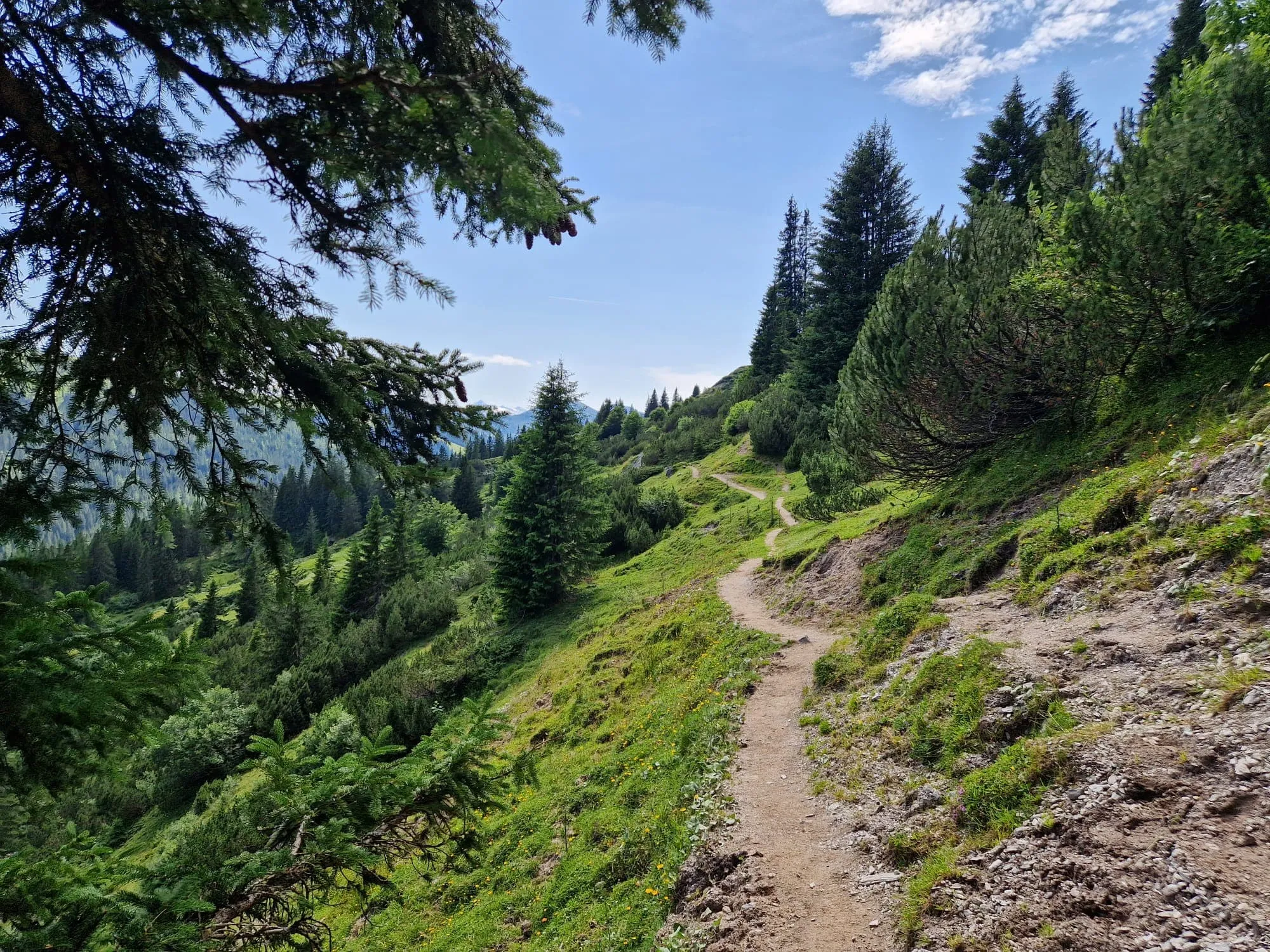 Salzburger Almenweg am Hochkönig - Inklusive Unterkunft vorher und nachher 8