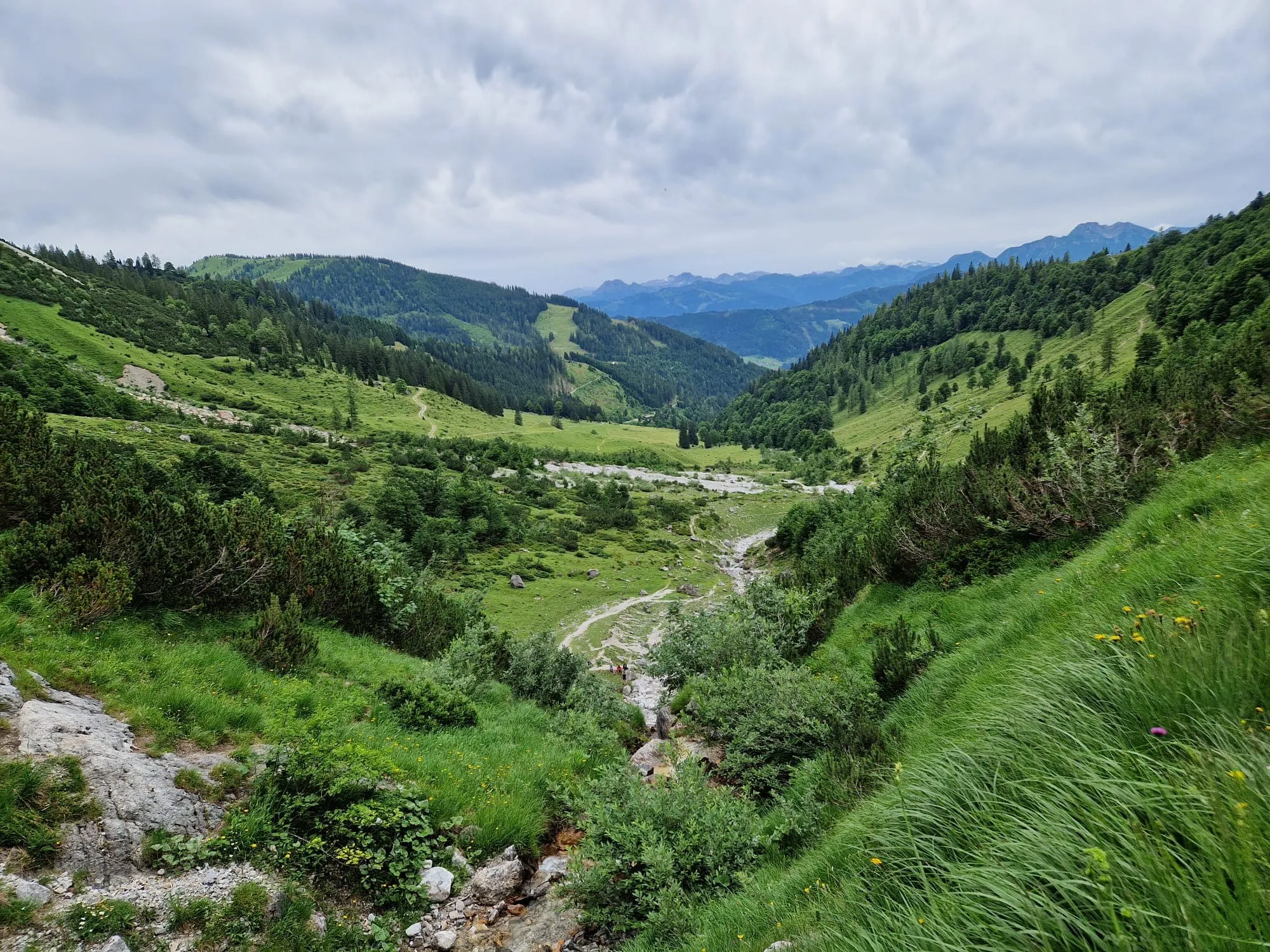 Salzburger Almenweg am Hochkönig - Inklusive Unterkunft vorher und nachher 11