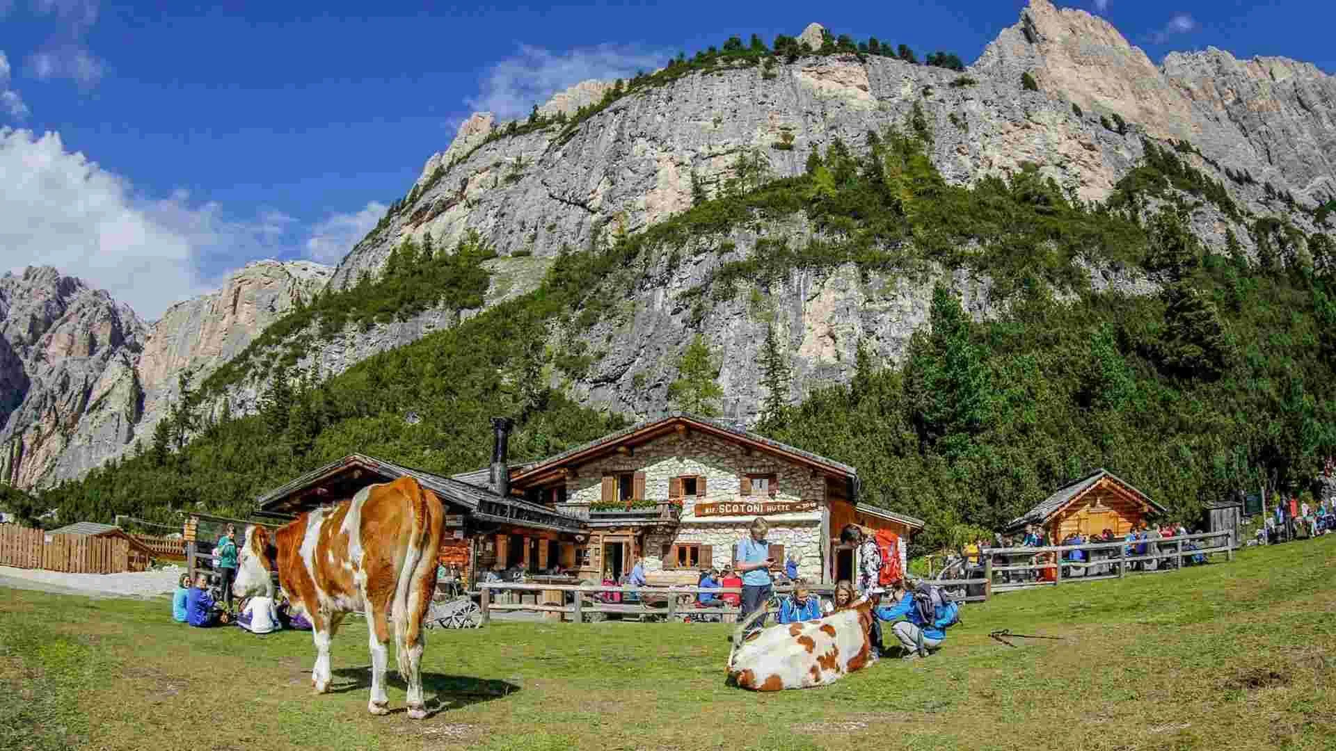 Rifugio Scotoni