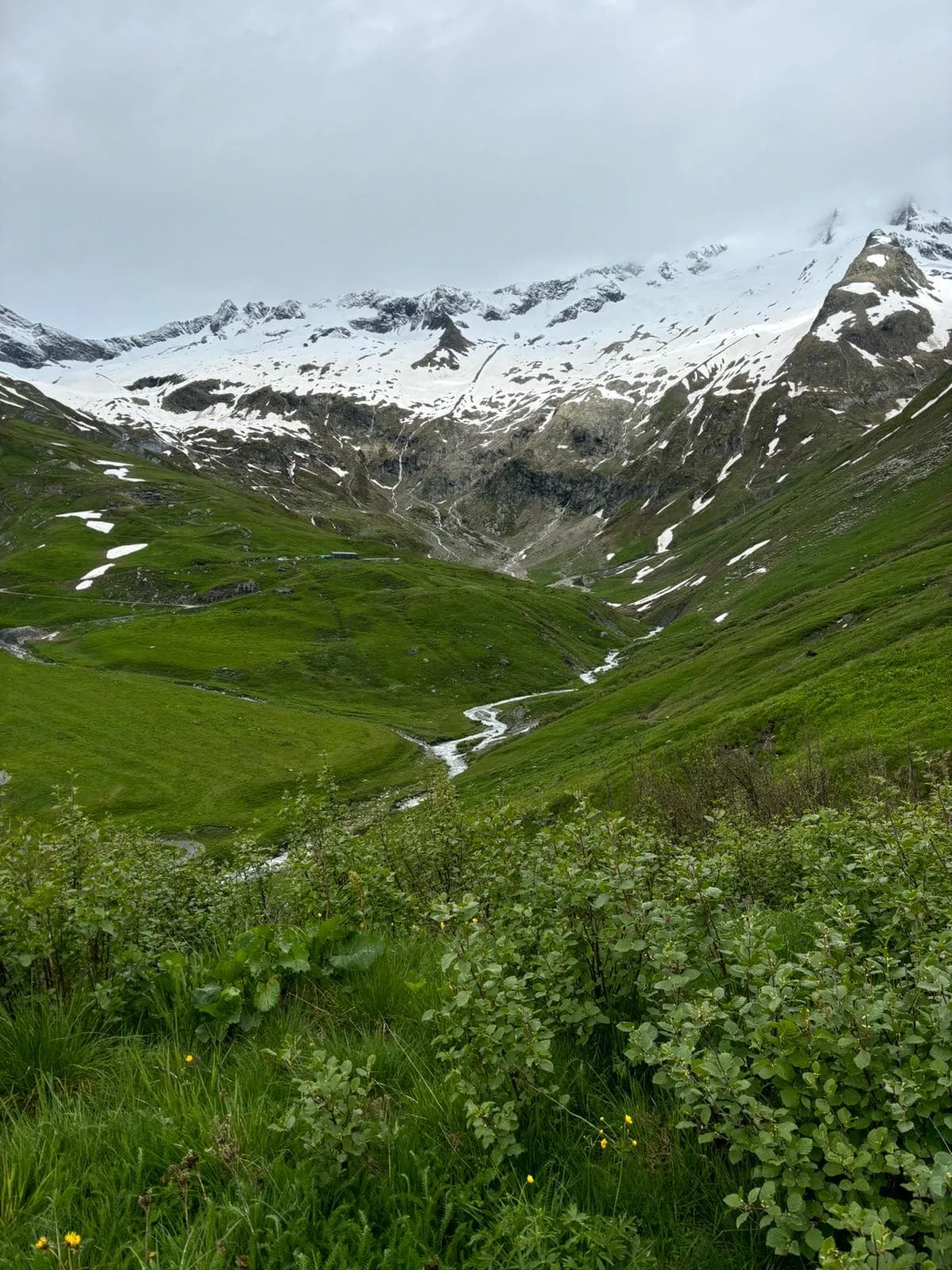 Tour del Mont Blanc vs Alta Via 1 – Comodidad, Cocina y Vistas