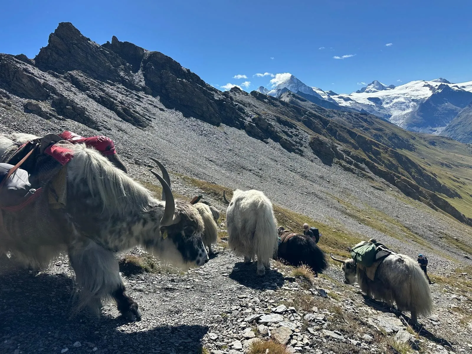 Østlige Walker's Haute Route 7
