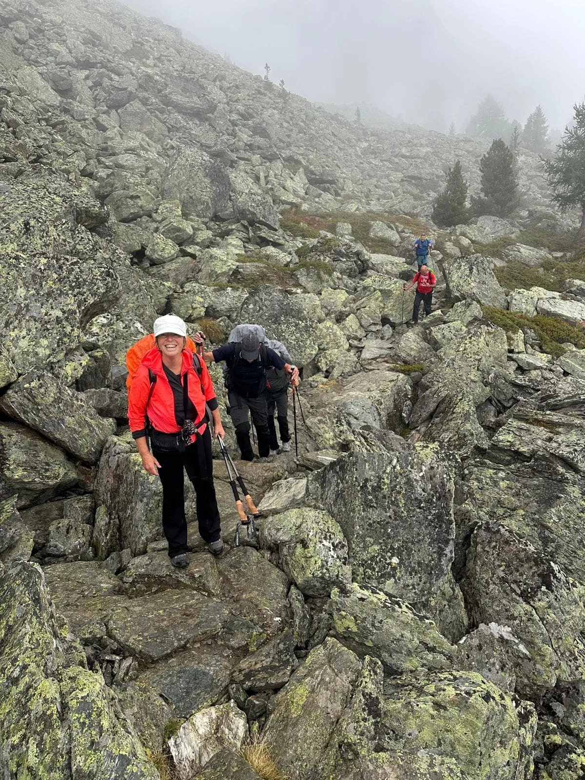 Oostelijke Walker's Haute Route - Inclusief voor en na overnachting