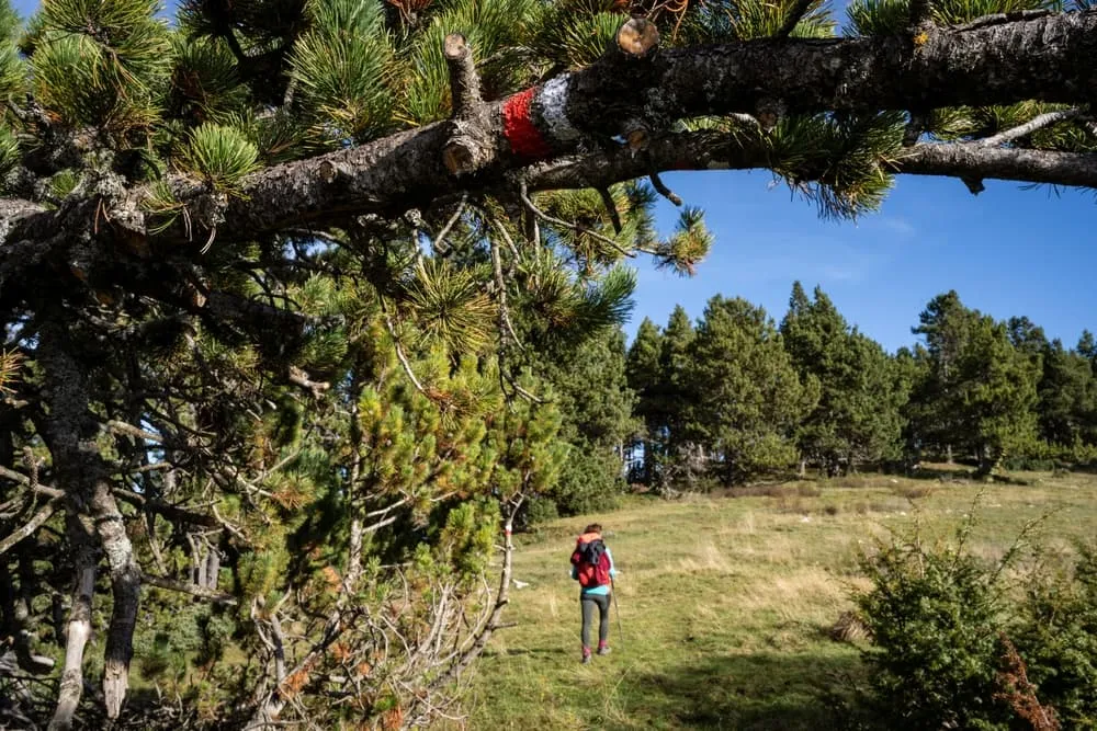 Begynder Cadí-Moixeró Travers 3