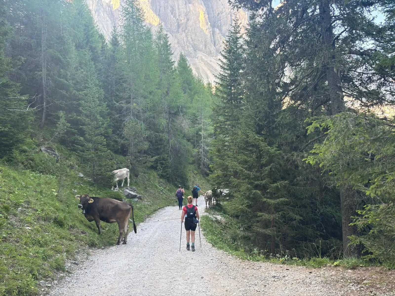 Klassieke Dolorama Weg 3