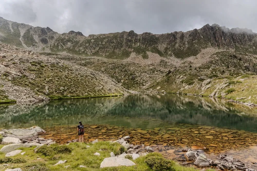 Expert Coronallacs Traverse 7