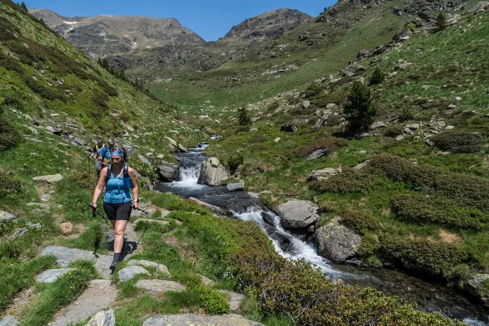 Expert Coronallacs Traverse 4