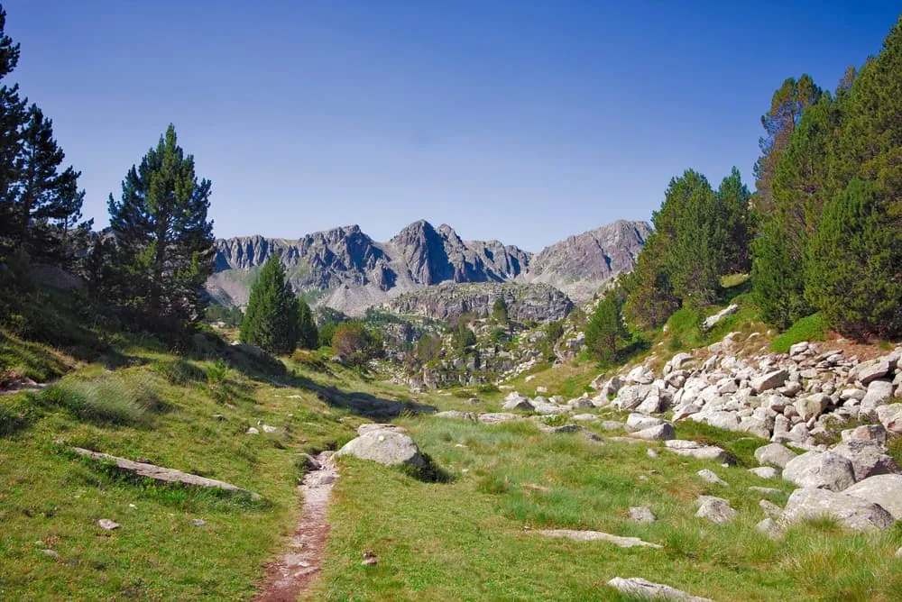 Expert Coronallacs Traverse 6