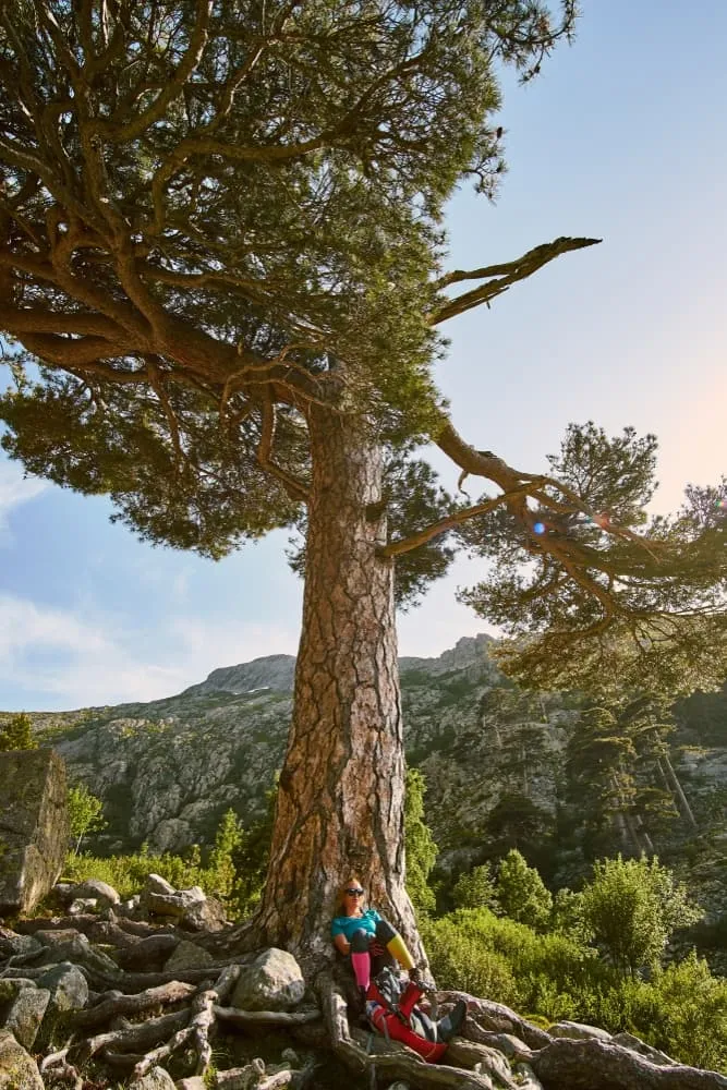 Avanceret Petit GR20 4