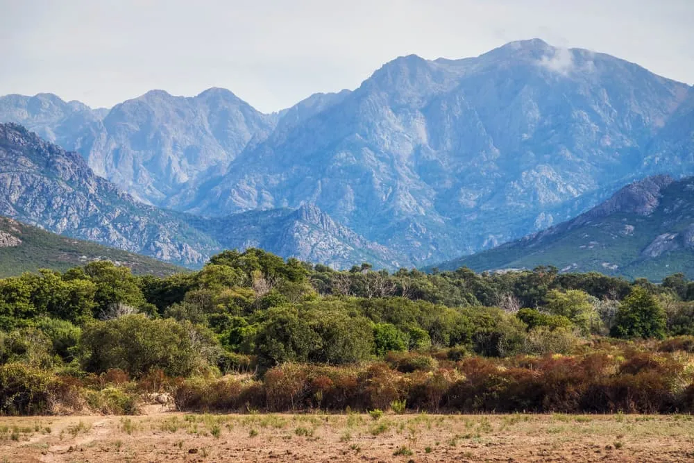 Avanceret Petit GR20 5