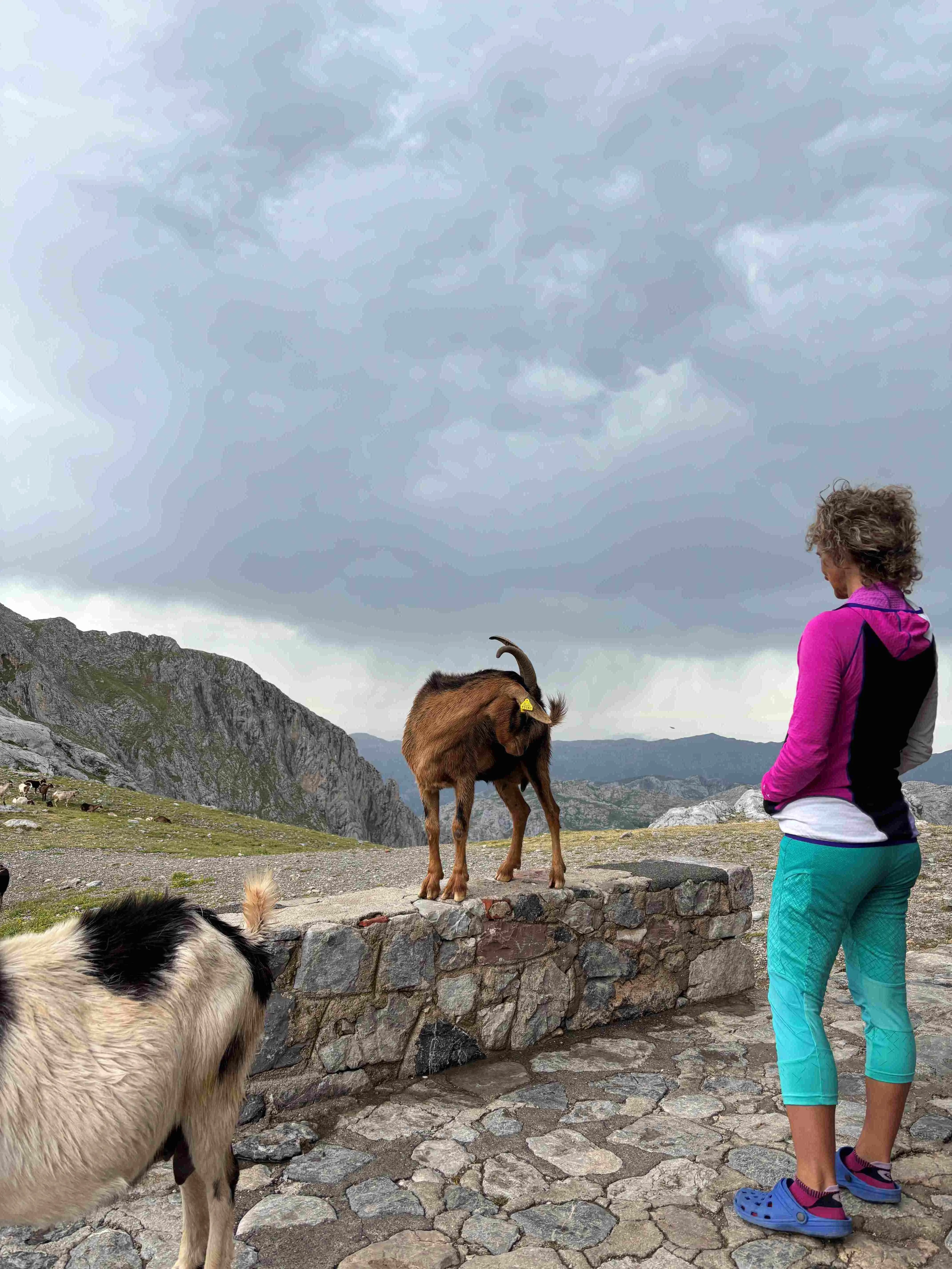 Picos de Europa - 3-dagars Loop - Inkl. boende före och efter 3