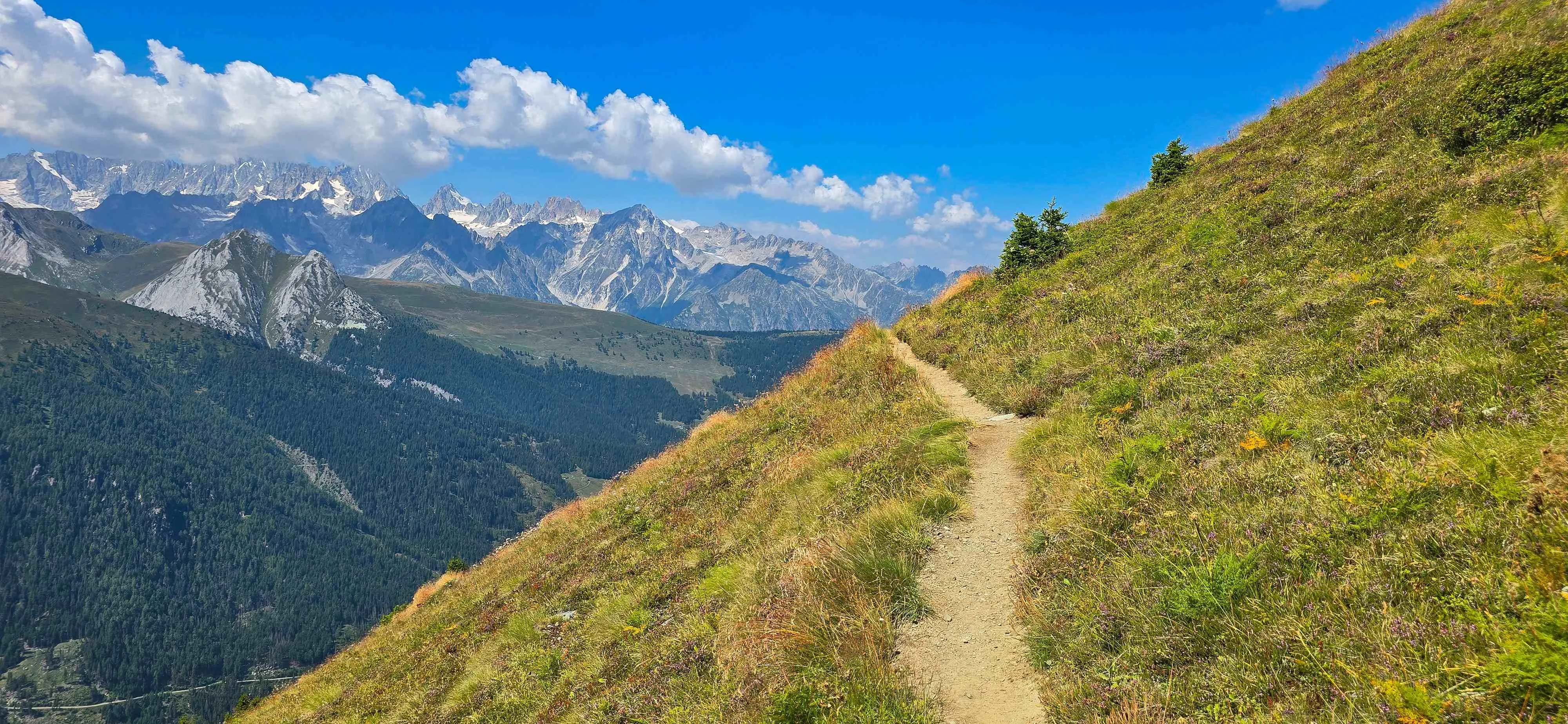 Tour des Combins - Inclusief voor en na overnachting 13
