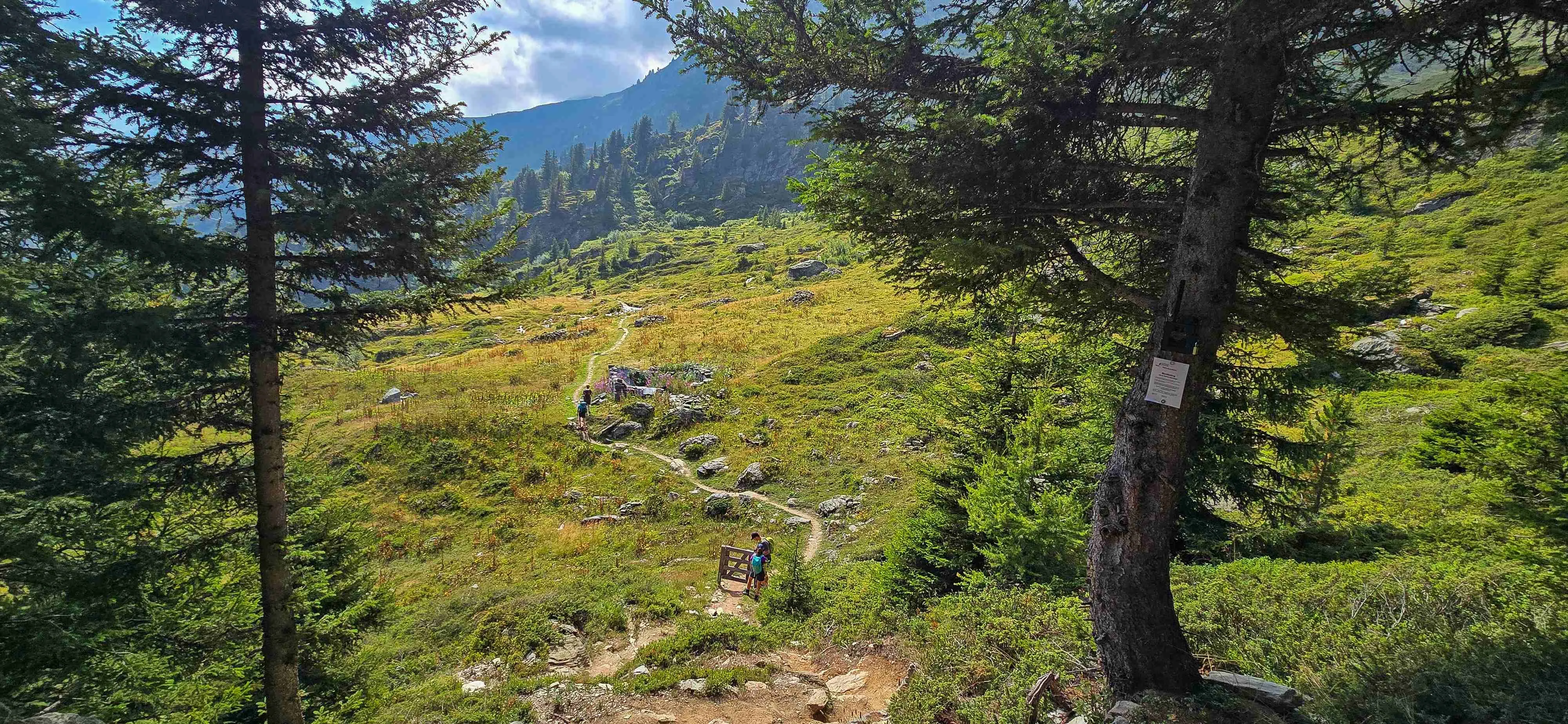 Tour des Combins - Inclusief voor en na overnachting 9