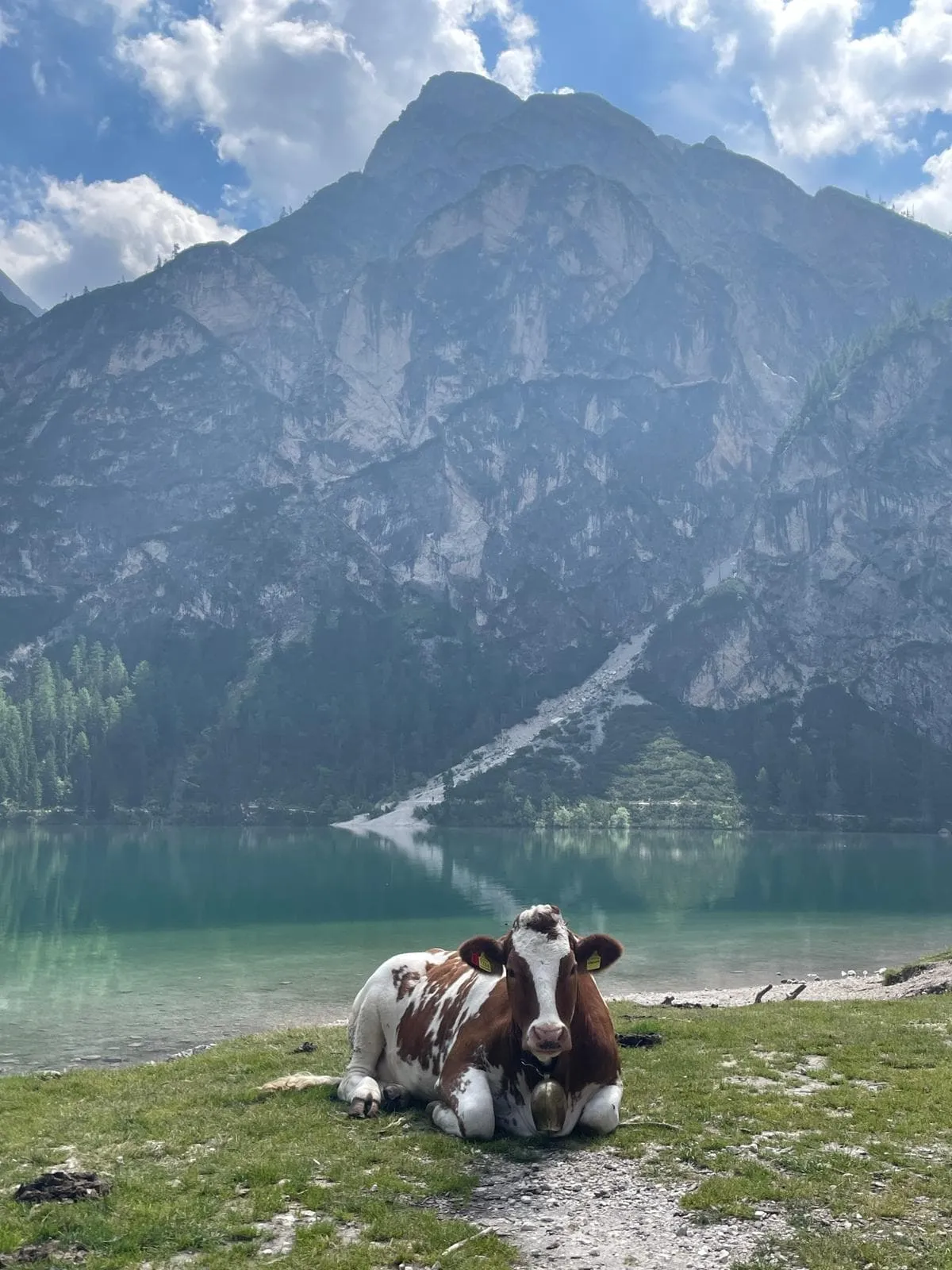 Korte Alta Via 1 (gezinsvriendelijk) met Hotel Voor en Na (Uitverkocht voor 2026) 7