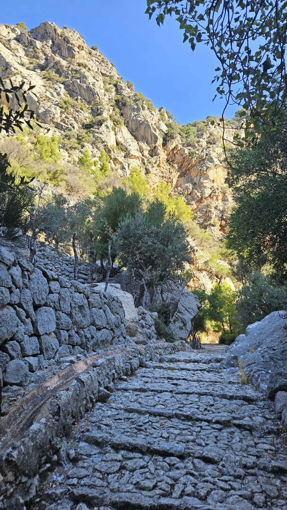 Short Mallorca Trail (GR221) 10