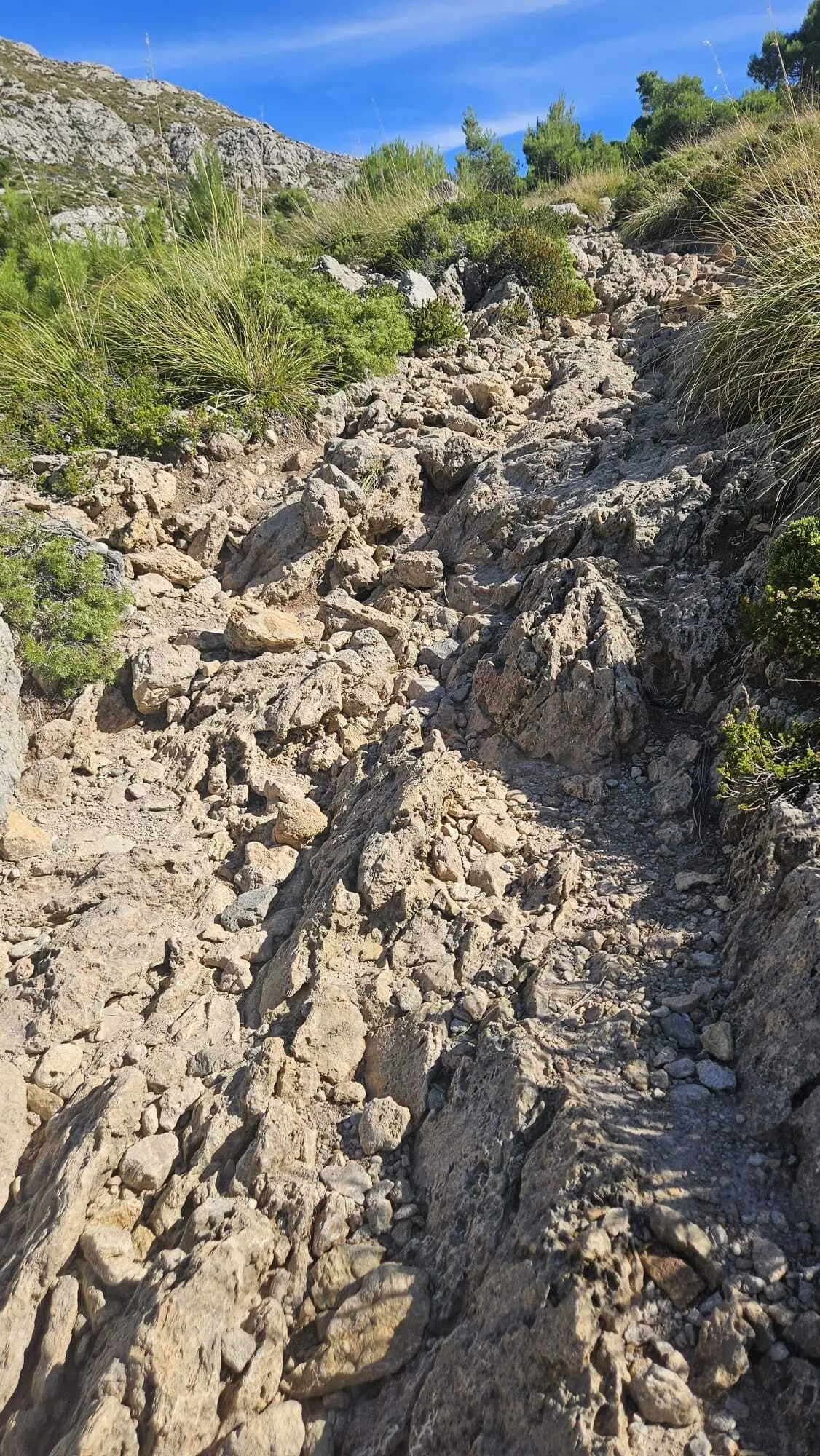 Volledige Mallorca Trail (GR221) 3