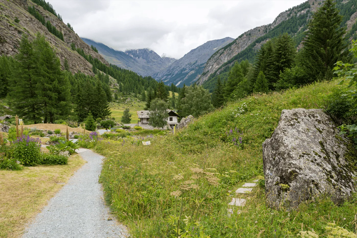 Nybegynner Gran Paradiso Vandring 5