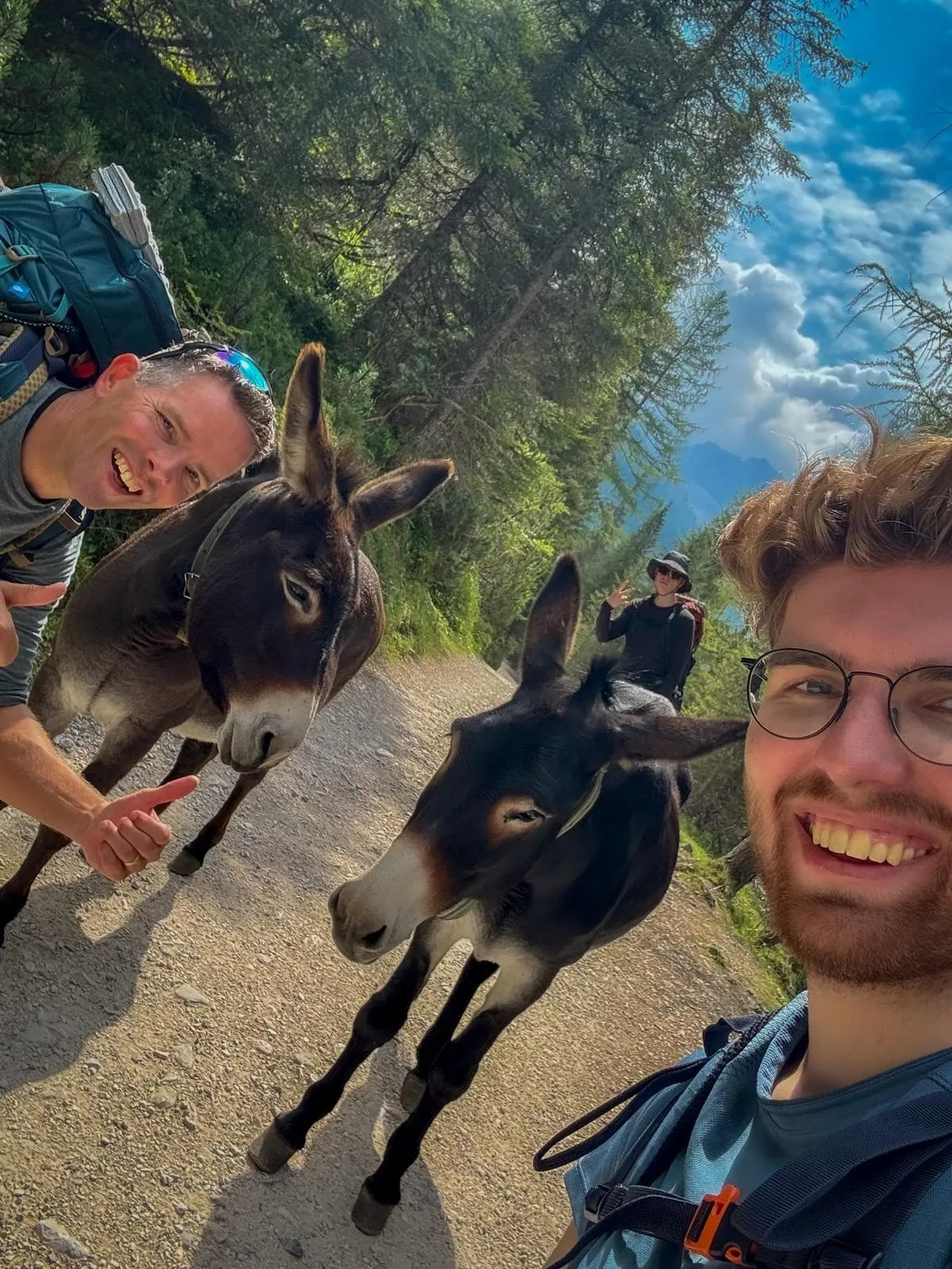 Halve Alta Via 2 - Alternatieve route 8