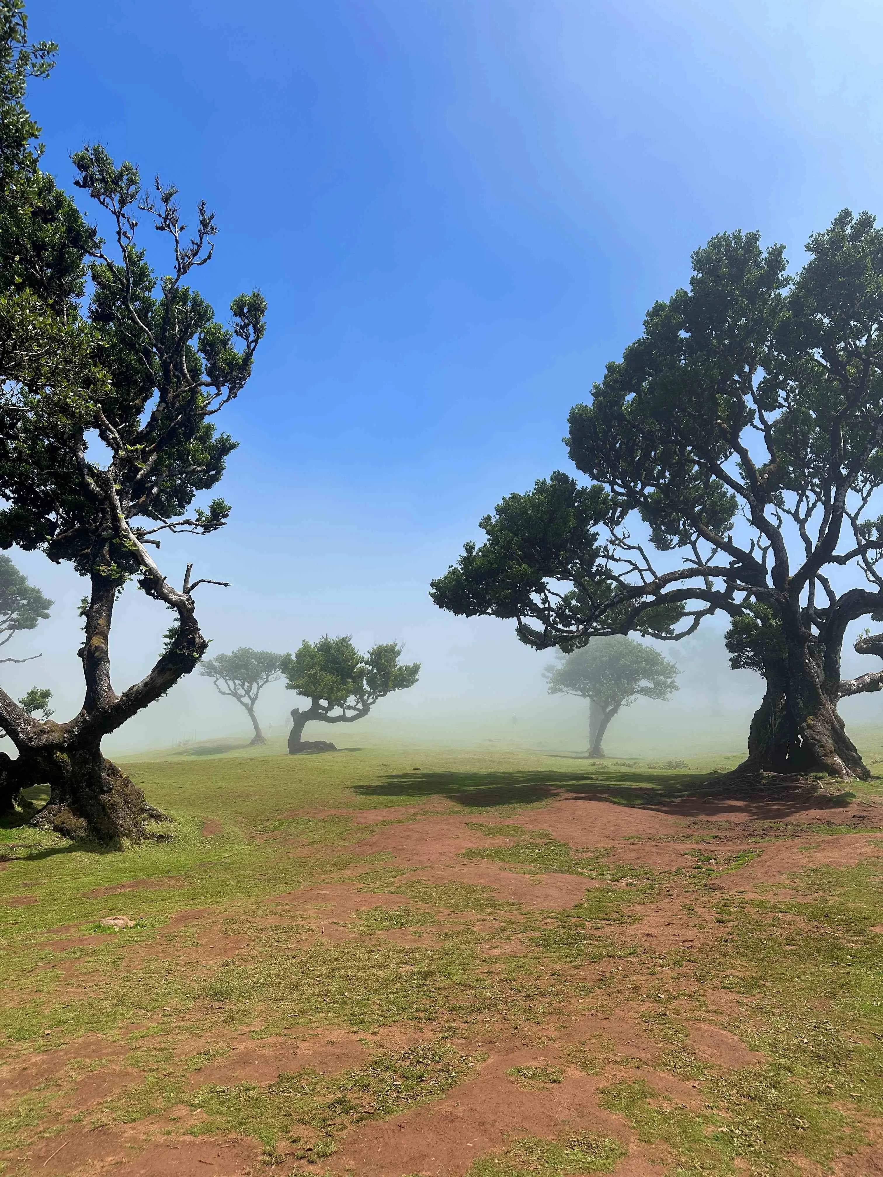 Sentiero di Madeira, incluso hotel prima e dopo 3