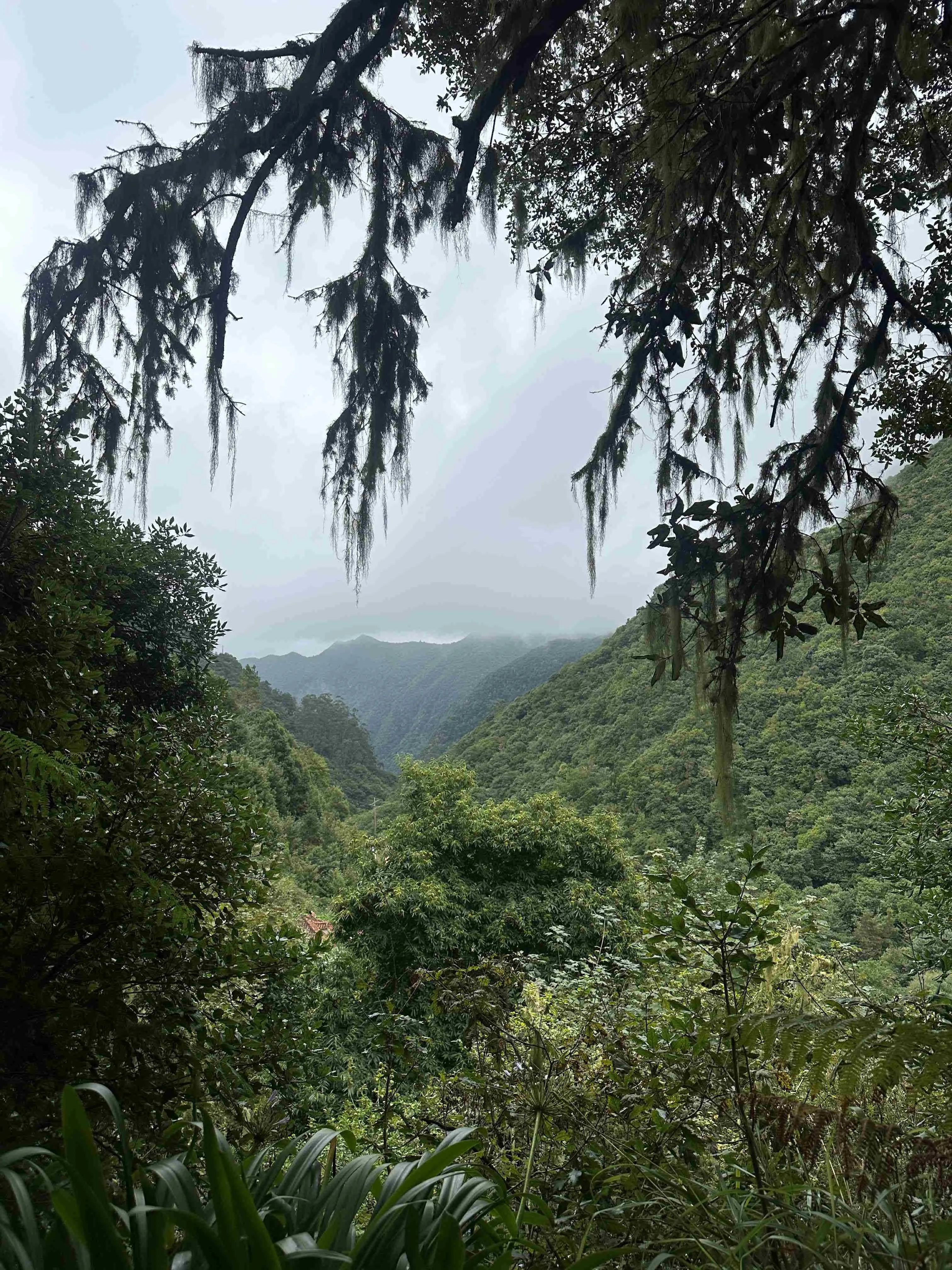 Sentiero di Madeira, incluso hotel prima e dopo 10