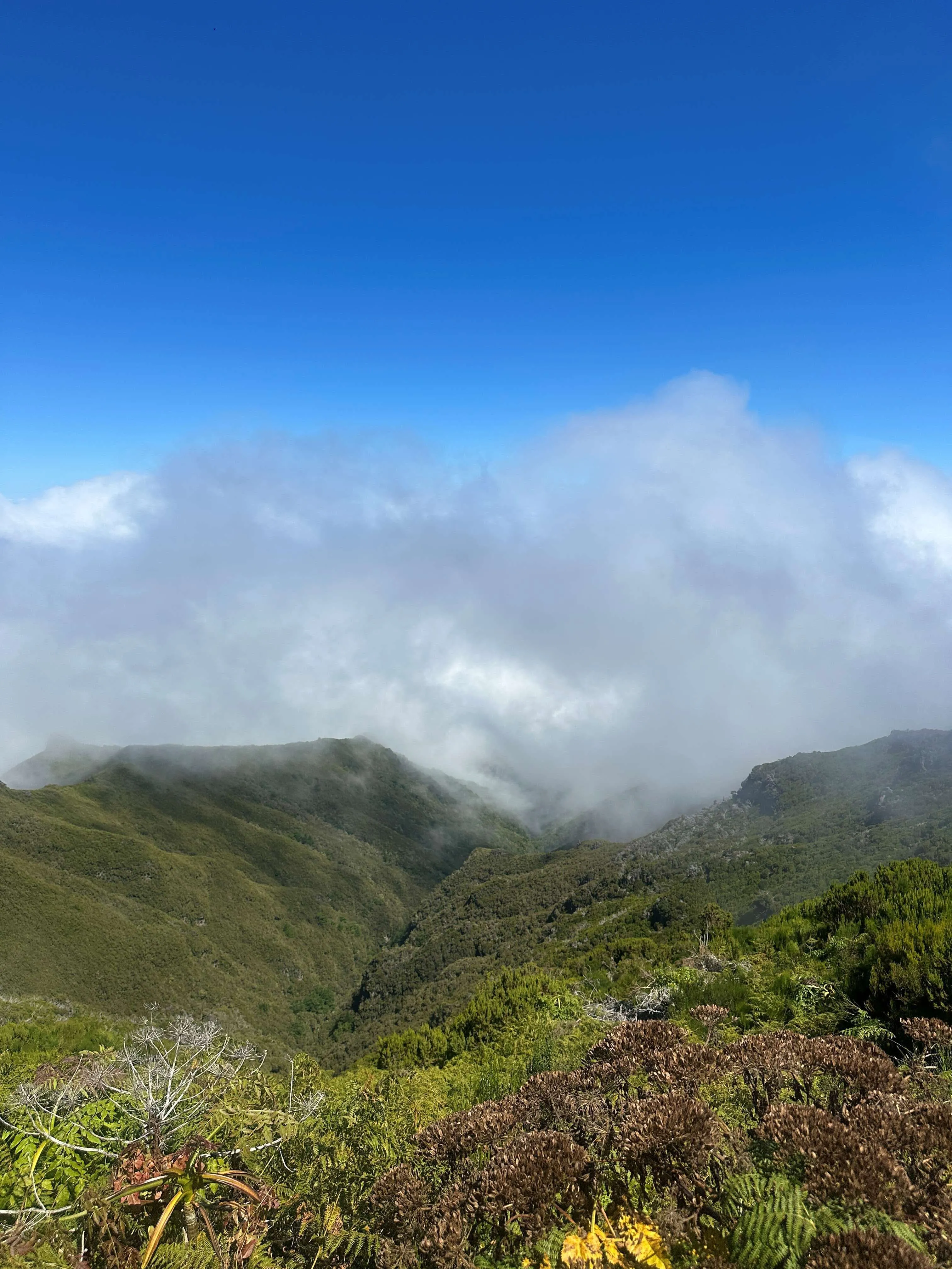 Sentiero di Madeira, incluso hotel prima e dopo 6