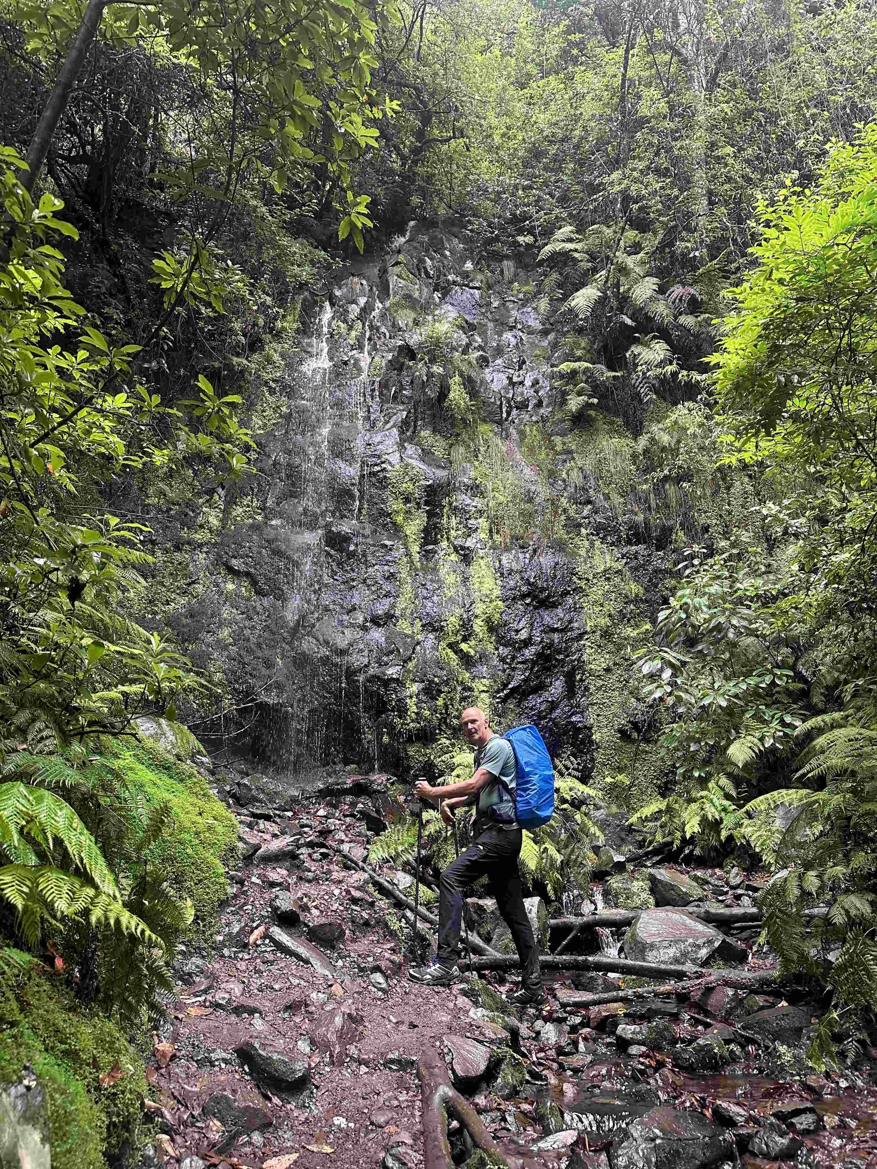 Sentiero di Madeira, incluso hotel prima e dopo