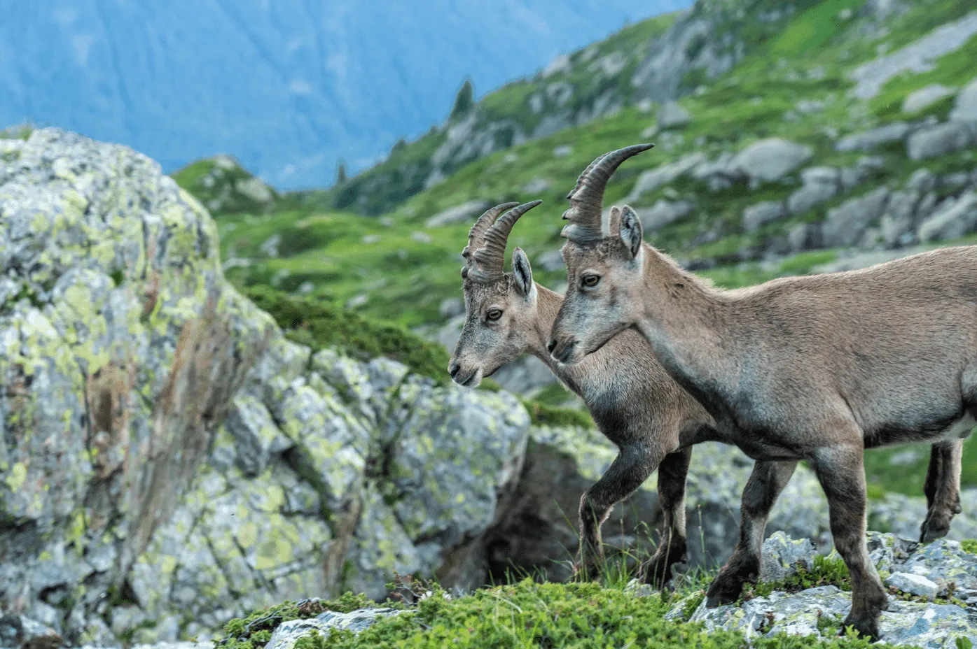Středně náročná túra Monviso Sever 2