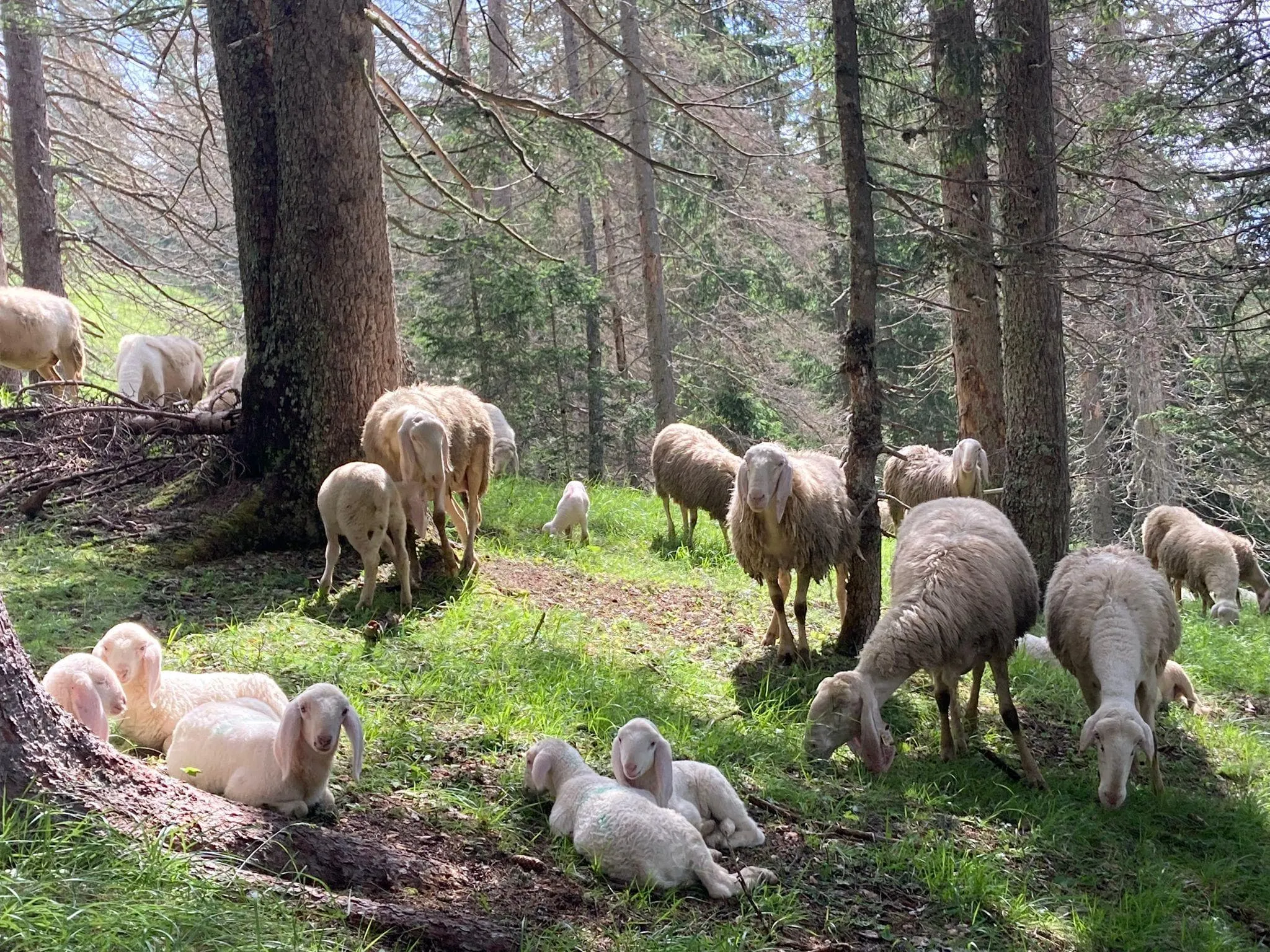 Korte Alta Via 1 (gezinsvriendelijk) met Hotel Voor en Na (Uitverkocht voor 2026) 14